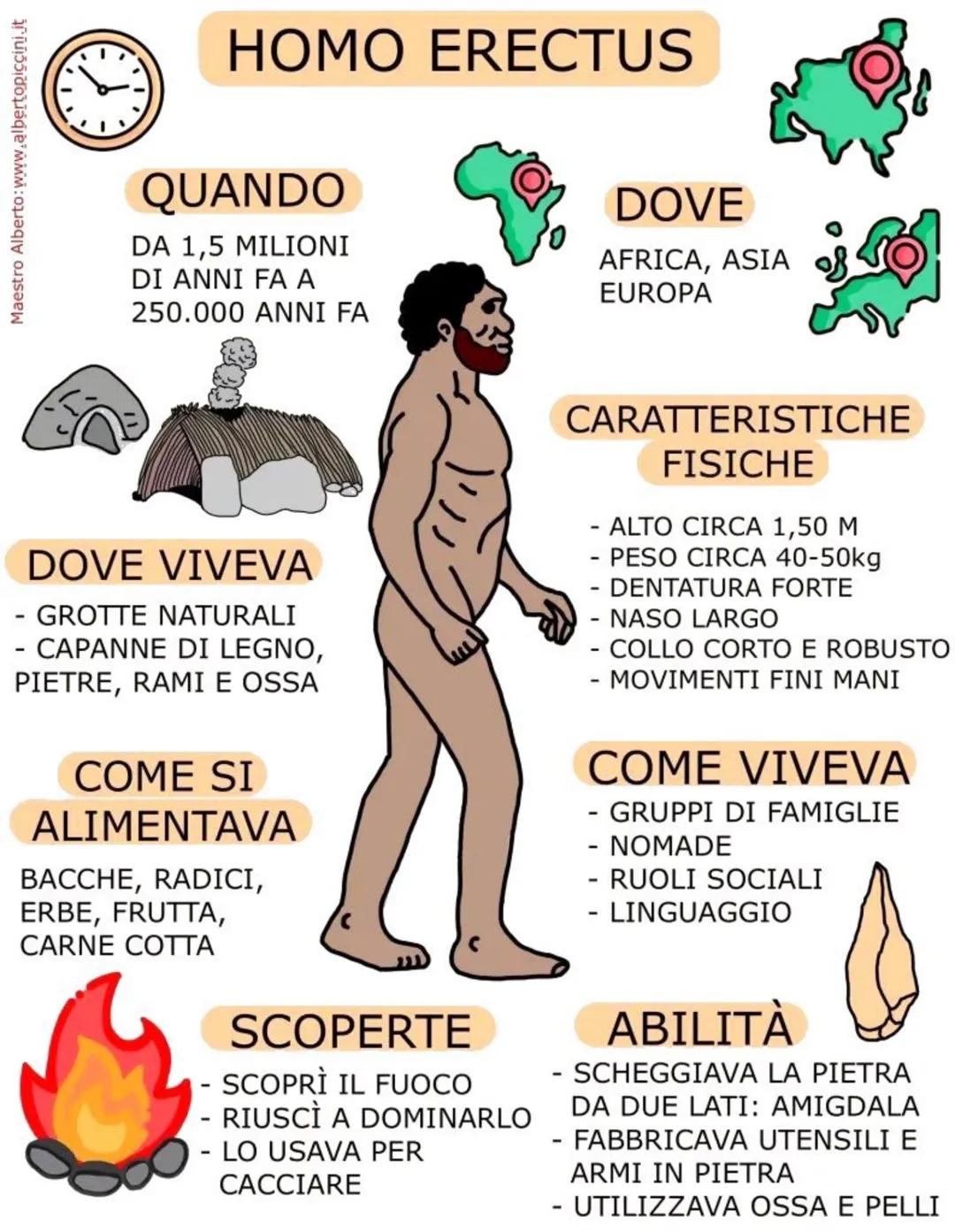 # AUSTRALOPITECO
QUANDO
3,5-4 MILIONI DI ANNI FA
DOVE
AFRICA ORIENTALE
DOVE VIVEVA
- SUGLI ALBERI
- NELLA SAVANA
C
10
CARATTERISTICH