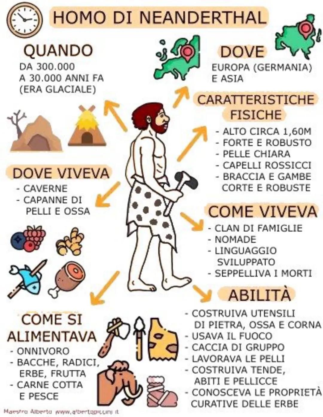 # AUSTRALOPITECO
QUANDO
3,5-4 MILIONI DI ANNI FA
DOVE
AFRICA ORIENTALE
DOVE VIVEVA
- SUGLI ALBERI
- NELLA SAVANA
C
10
CARATTERISTICH