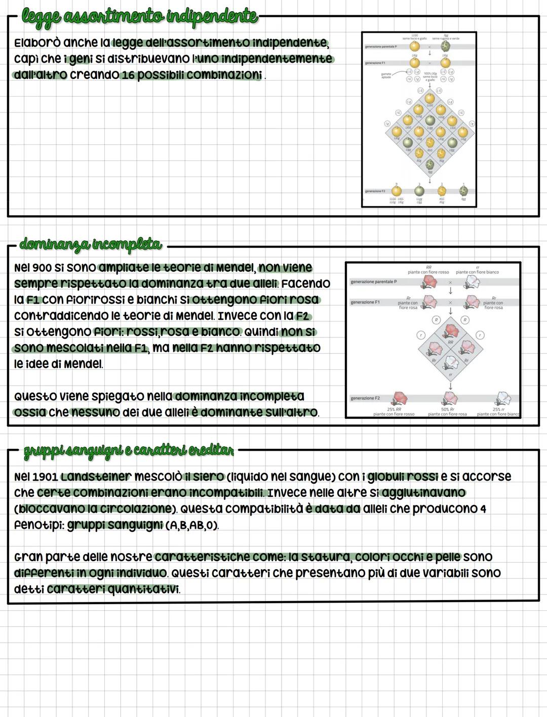 # Genetica e Mendel
- genetica
La. Genetica è la scienza che studia le leggi e i meccanismi che permettono la trasmissione
dei caratteri (
