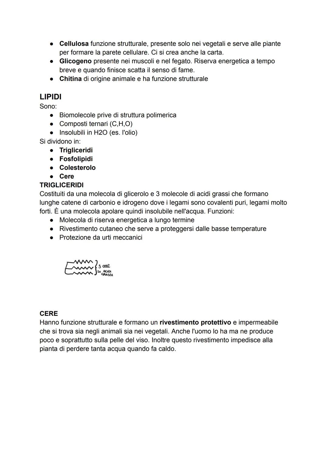 LE BIOMOLECOLE
Le biomolecole sono dei composti chimici che rivestono un ruolo importante negli
esseri viventi. Possono essere suddivise in