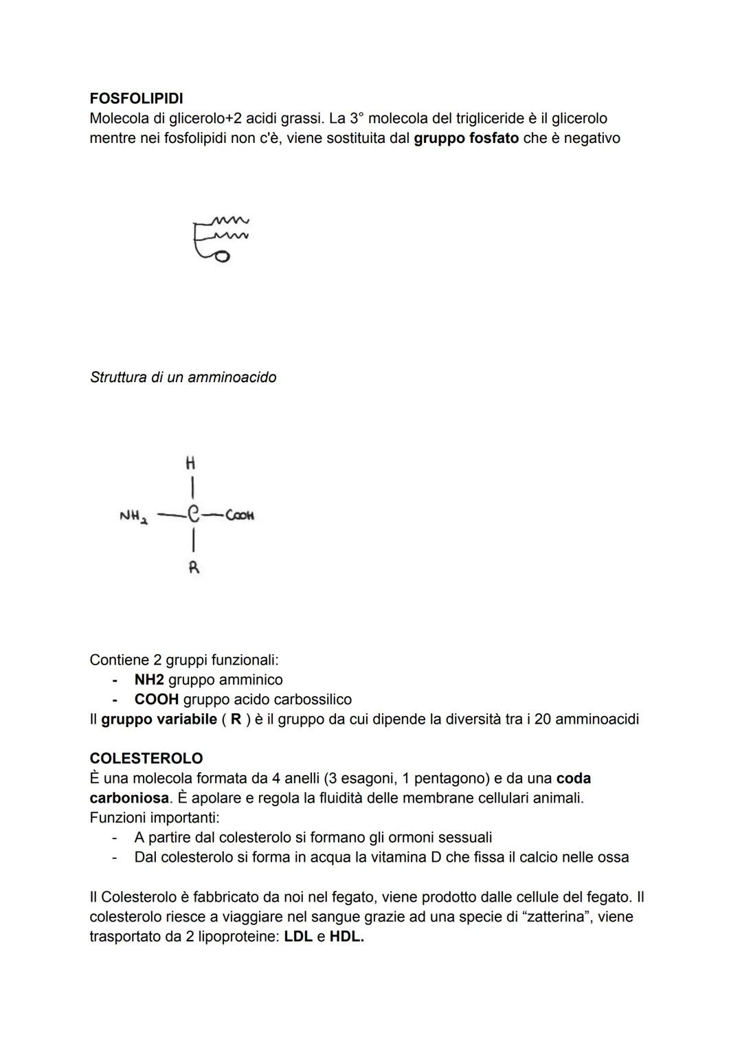 LE BIOMOLECOLE
Le biomolecole sono dei composti chimici che rivestono un ruolo importante negli
esseri viventi. Possono essere suddivise in