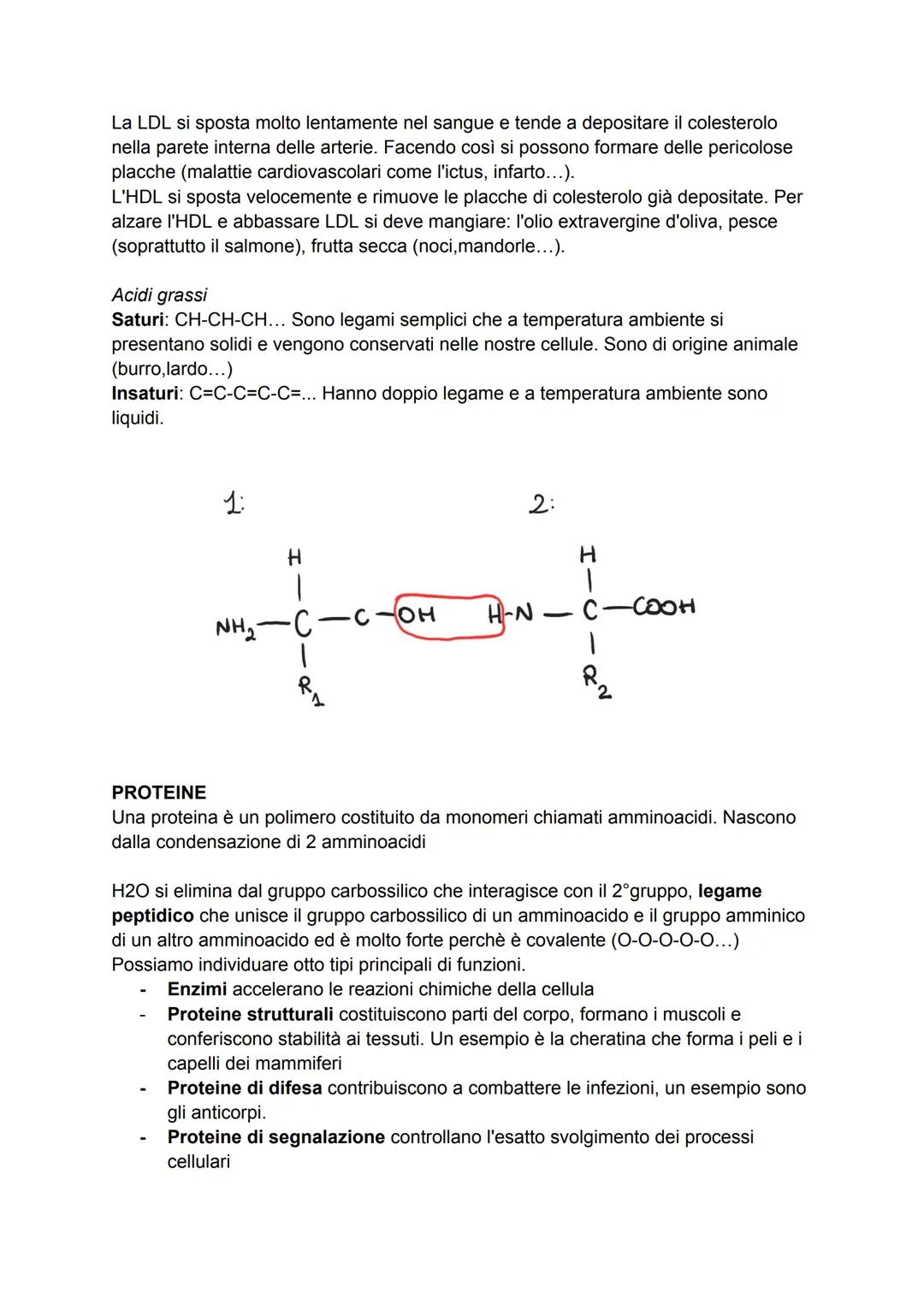 LE BIOMOLECOLE
Le biomolecole sono dei composti chimici che rivestono un ruolo importante negli
esseri viventi. Possono essere suddivise in