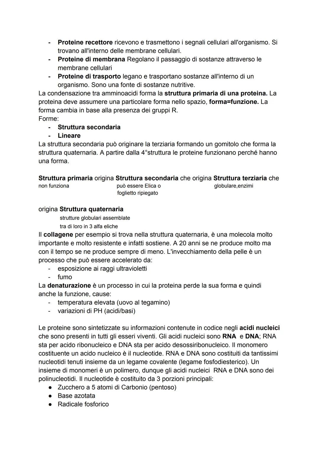 LE BIOMOLECOLE
Le biomolecole sono dei composti chimici che rivestono un ruolo importante negli
esseri viventi. Possono essere suddivise in