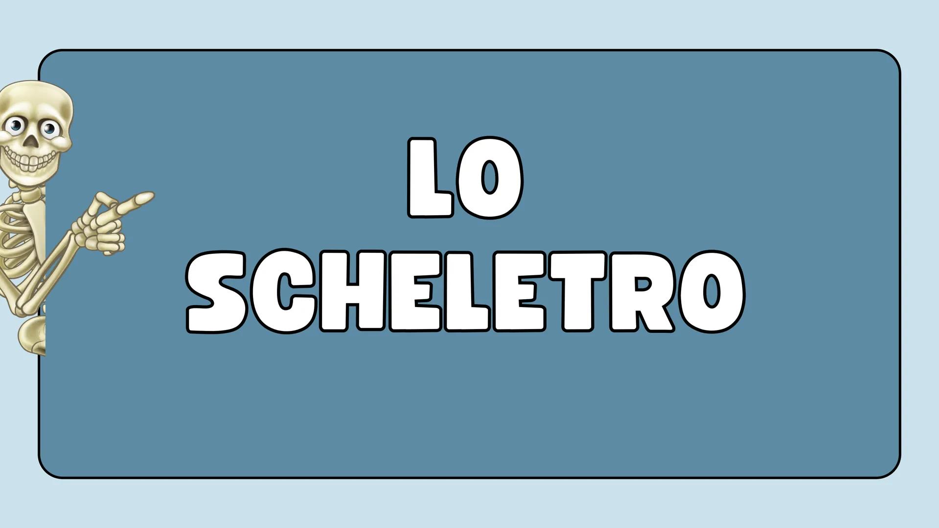 LO
SCHELETRO LO SCHELETRO:
Lo scheletro umano è una struttura di protezione e
sostegno posta all'interno del corpo, formata da un
insieme di