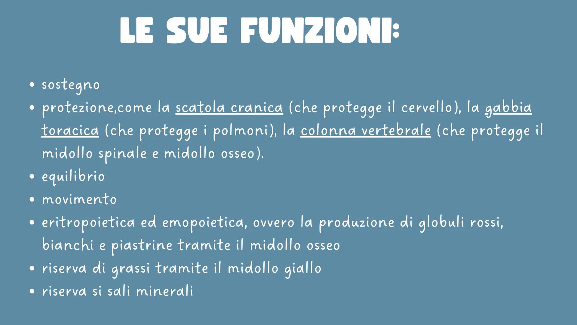 LO
SCHELETRO LO SCHELETRO:
Lo scheletro umano è una struttura di protezione e
sostegno posta all'interno del corpo, formata da un
insieme di