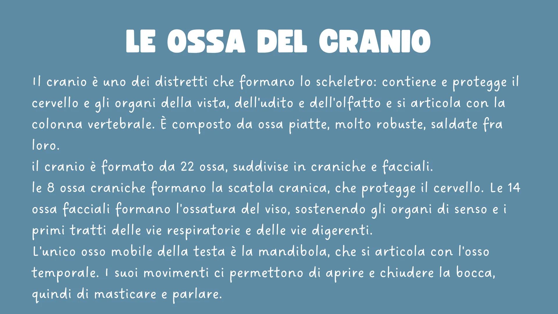 LO
SCHELETRO LO SCHELETRO:
Lo scheletro umano è una struttura di protezione e
sostegno posta all'interno del corpo, formata da un
insieme di