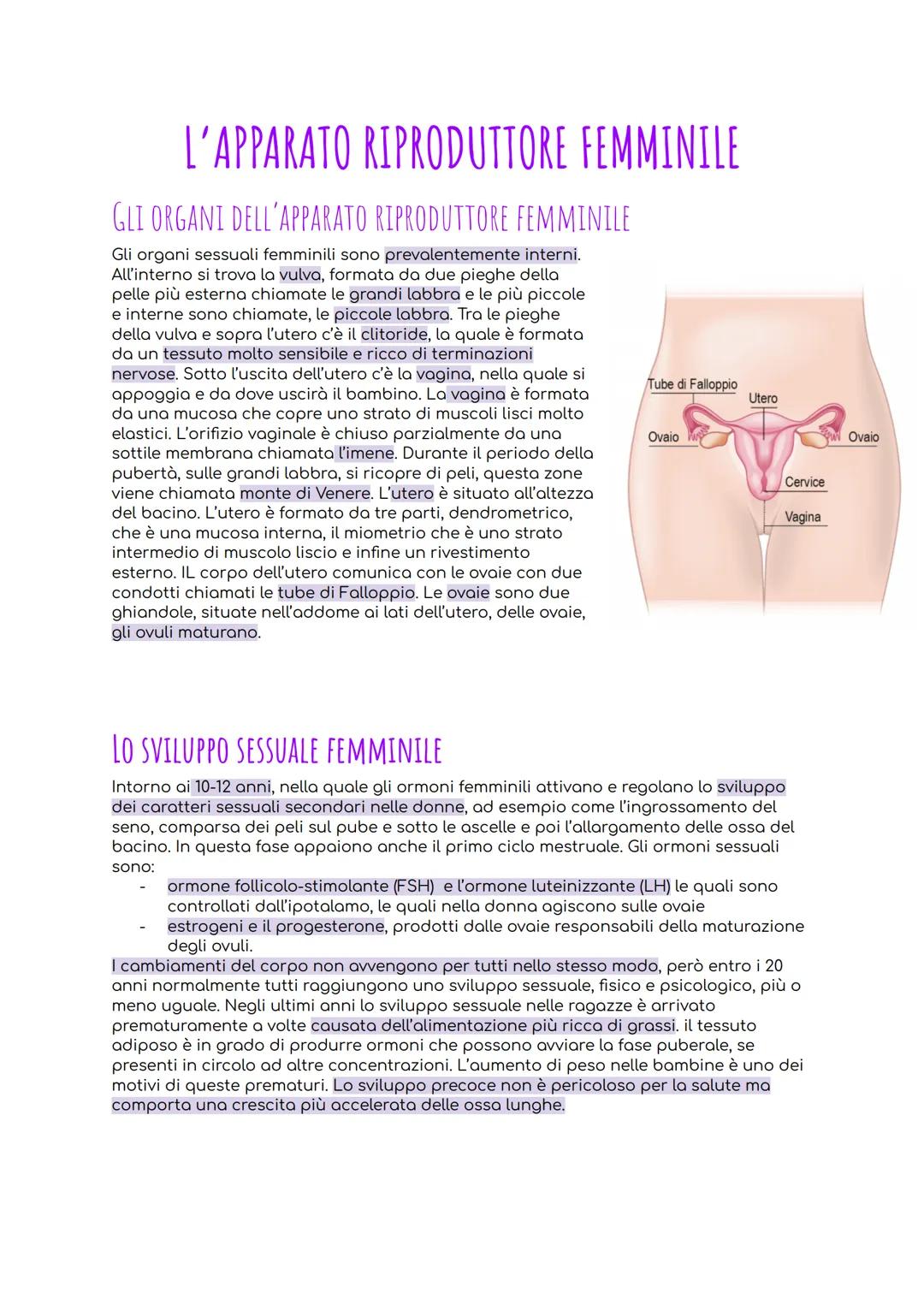 # L'APPARATO RIPRODUTTORE FEMMINILE
## GLI ORGANI DELL'APPARATO RIPRODUTTORE FEMMINILE
Gli organi sessuali femminili sono prevalentemente