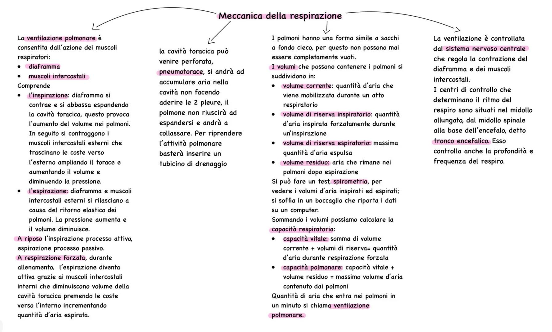 # Apparato respiratorio
Ha la funzione di rifornire
l'organismo di O2 ed eliminare il
CO2 attraverso uno scambio di gas
che avviene nei pol