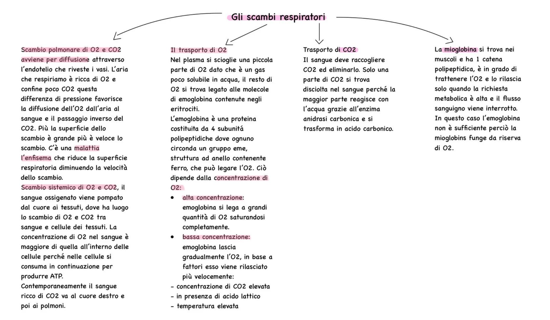 # Apparato respiratorio
Ha la funzione di rifornire
l'organismo di O2 ed eliminare il
CO2 attraverso uno scambio di gas
che avviene nei pol