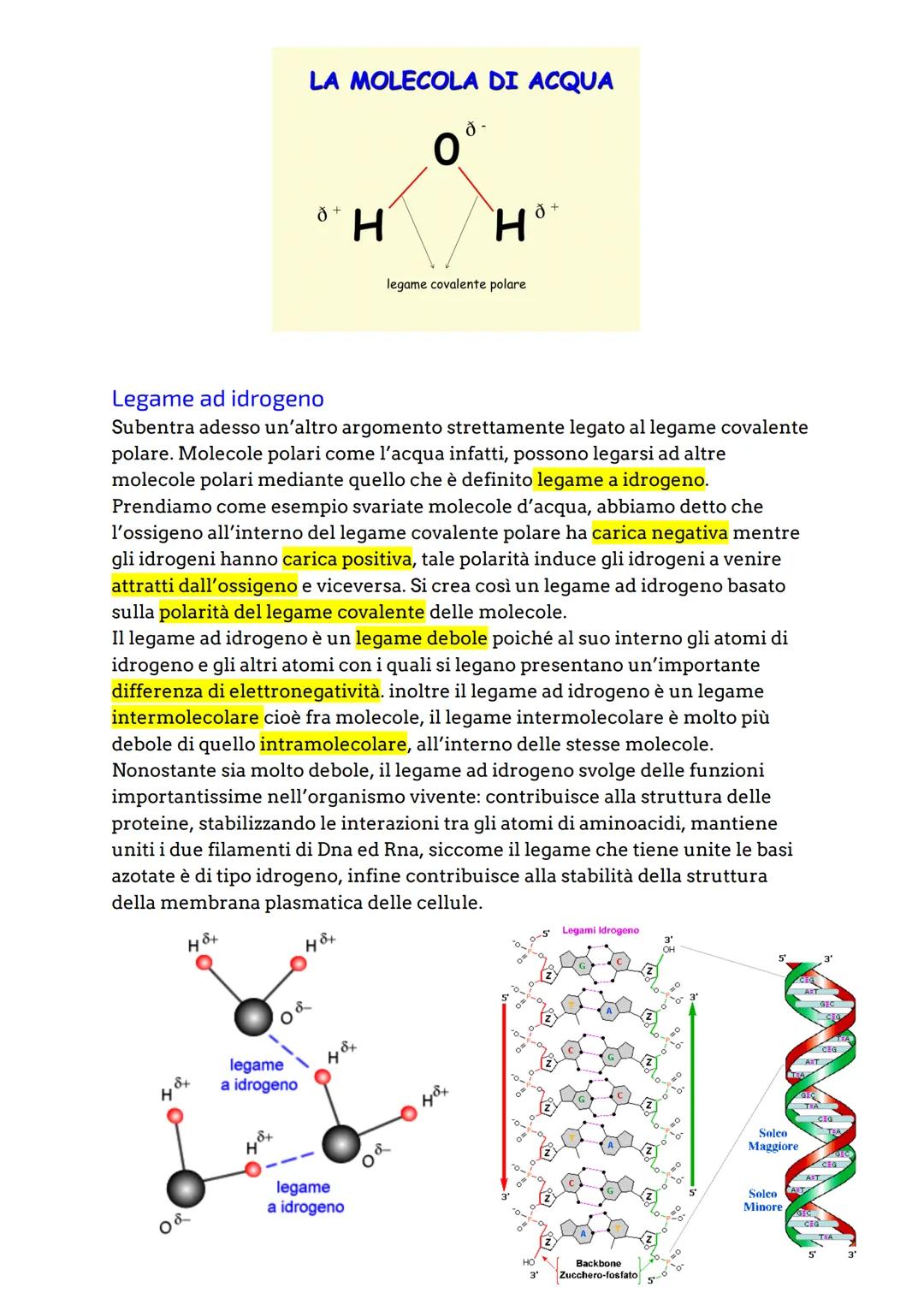 # Gli atomi e i legami chimici
L'atomo è la più piccola parte della materia, ed è costituito da particelle
subatomiche quali: protoni, hann