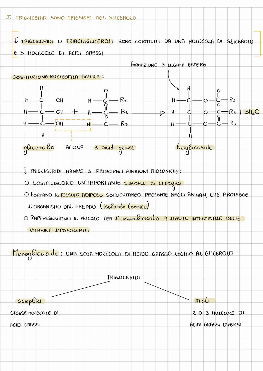 # LIPIDI
I LIPIDI SONO UN GRUPPO ETEROGENEO DI SOSTANZE CHE HANNO IN COMUNE LA
CARATTERISTICA DI ESSERE insolubili IN ACQUA E Solubili IN S