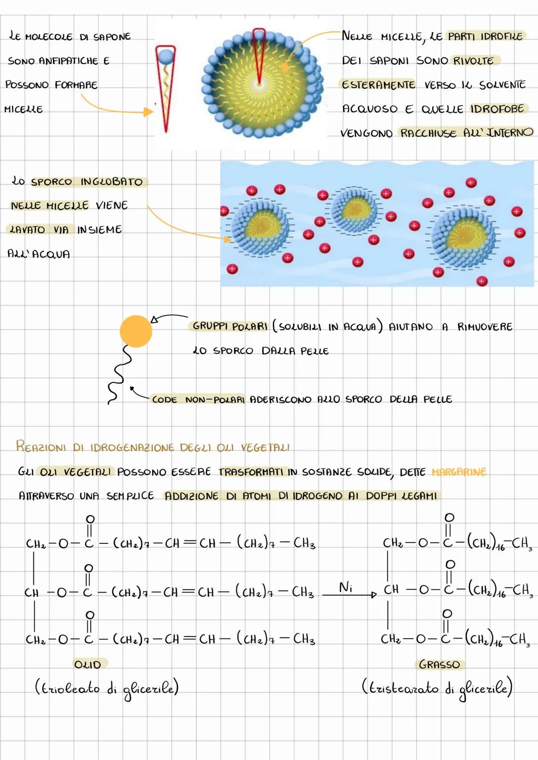# LIPIDI
I LIPIDI SONO UN GRUPPO ETEROGENEO DI SOSTANZE CHE HANNO IN COMUNE LA
CARATTERISTICA DI ESSERE insolubili IN ACQUA E Solubili IN S