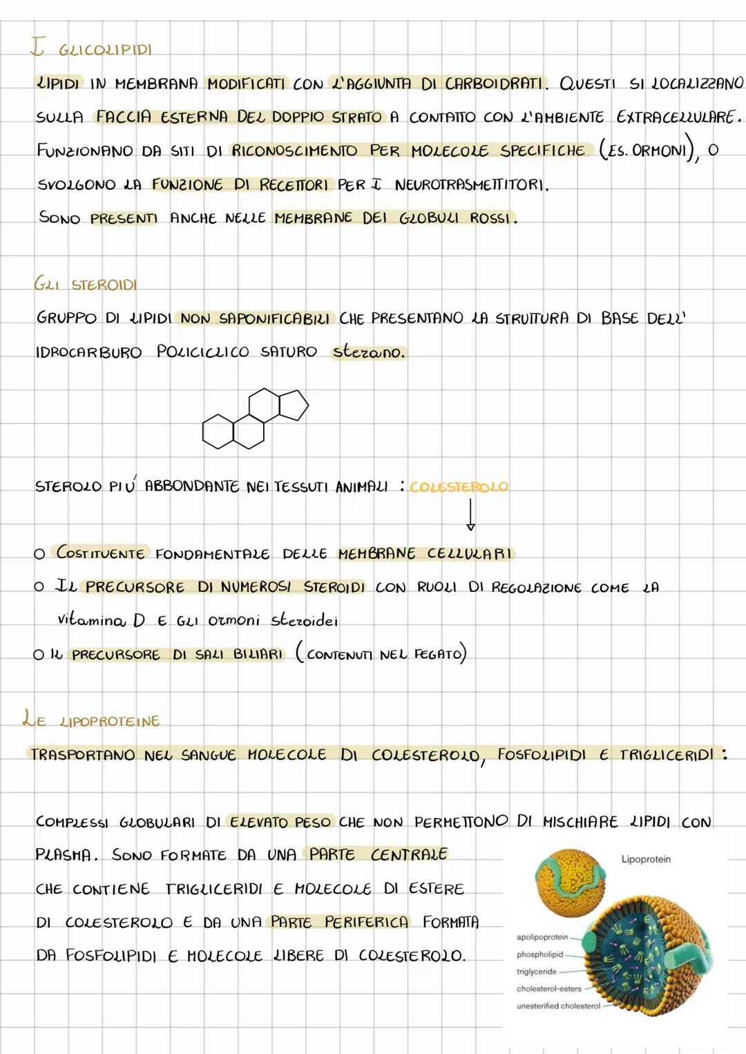 # LIPIDI
I LIPIDI SONO UN GRUPPO ETEROGENEO DI SOSTANZE CHE HANNO IN COMUNE LA
CARATTERISTICA DI ESSERE insolubili IN ACQUA E Solubili IN S