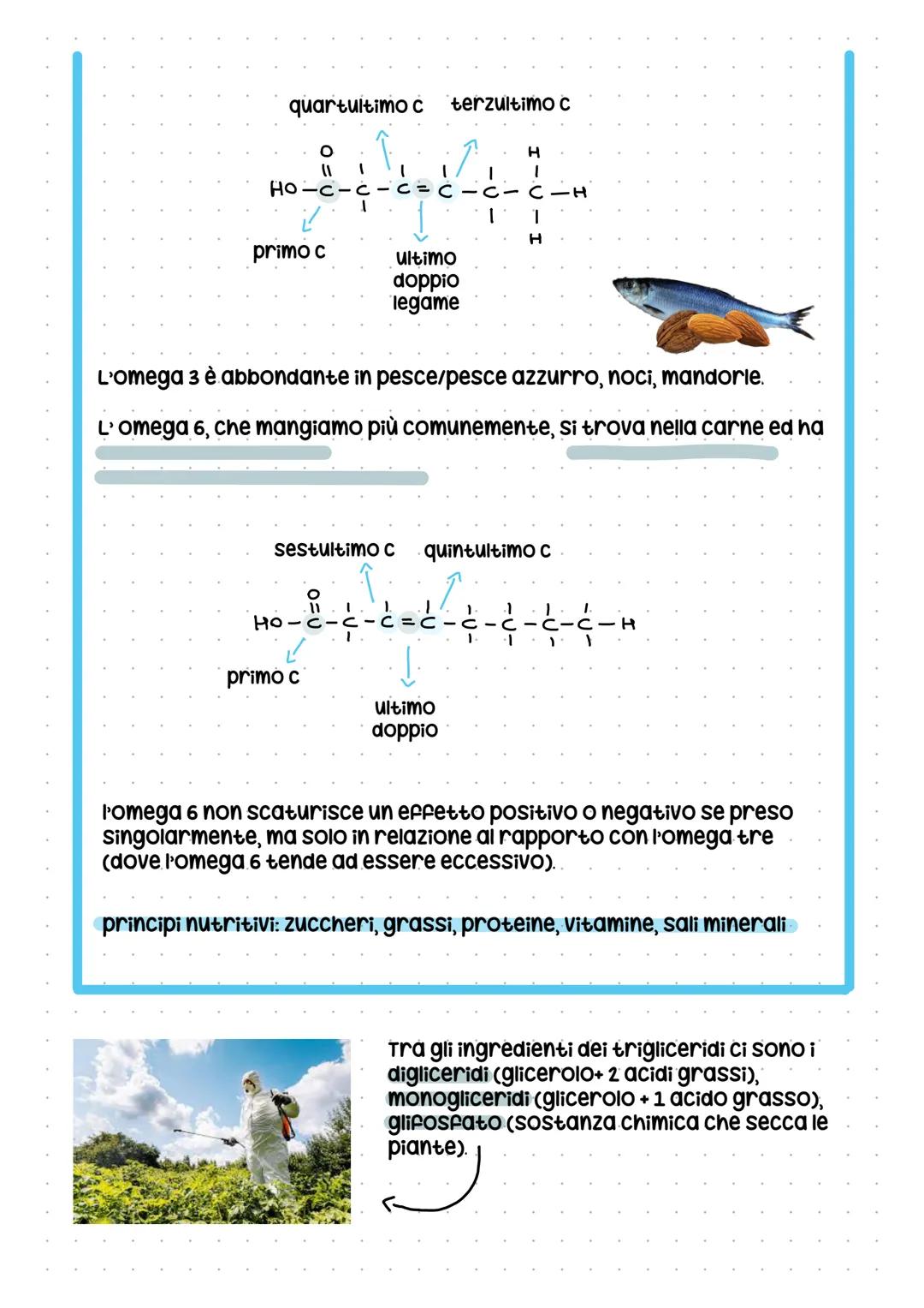 # I lipidi
Quasi tutti i lipidi sono idrofobici per via del legame puro tra idrogeno e
carbonio. I legami puri, infatti, tendono a volersi