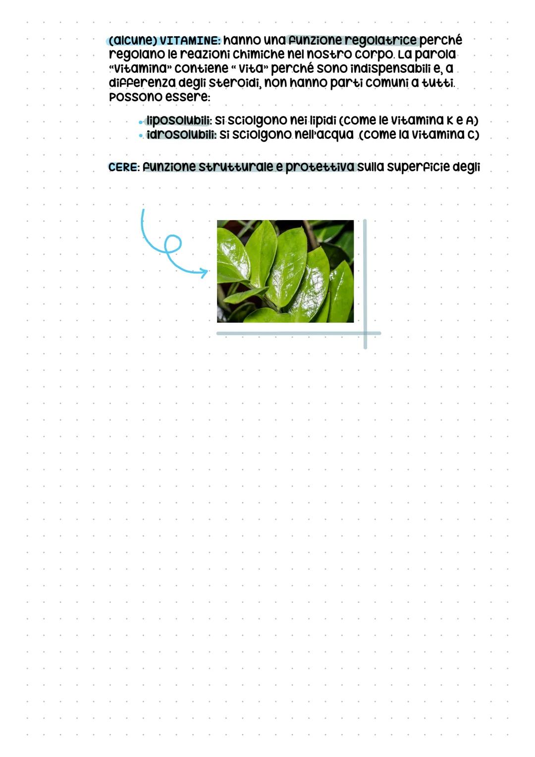# I lipidi
Quasi tutti i lipidi sono idrofobici per via del legame puro tra idrogeno e
carbonio. I legami puri, infatti, tendono a volersi