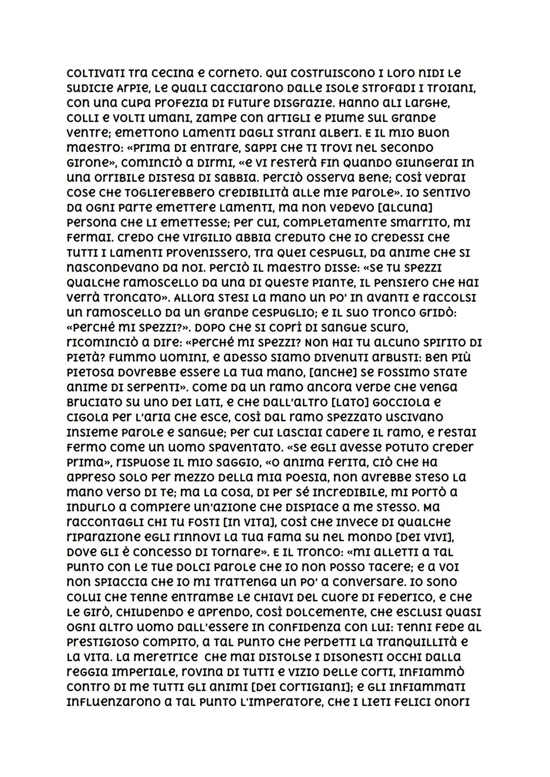 # CANTO XIII INFERNO
## AMBIENTAZIONE
IL TREDICESIMO CANTO DELL'INFErno è атвіептаατο nel secoNDO
GIRONE DEL SETTIMO cercHIO, DOove sono P