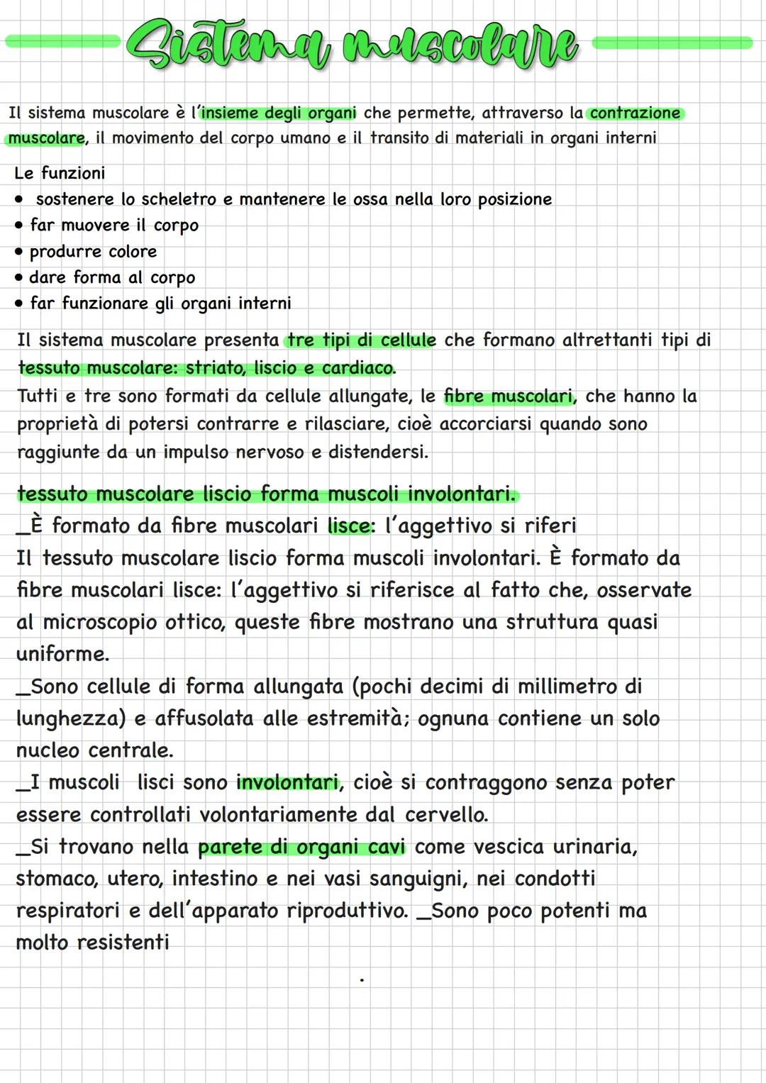 # Sistema muscolare
Il sistema muscolare รจ l'insieme degli organi che permette, attraverso la contrazione
muscolare, il movimento del corpo