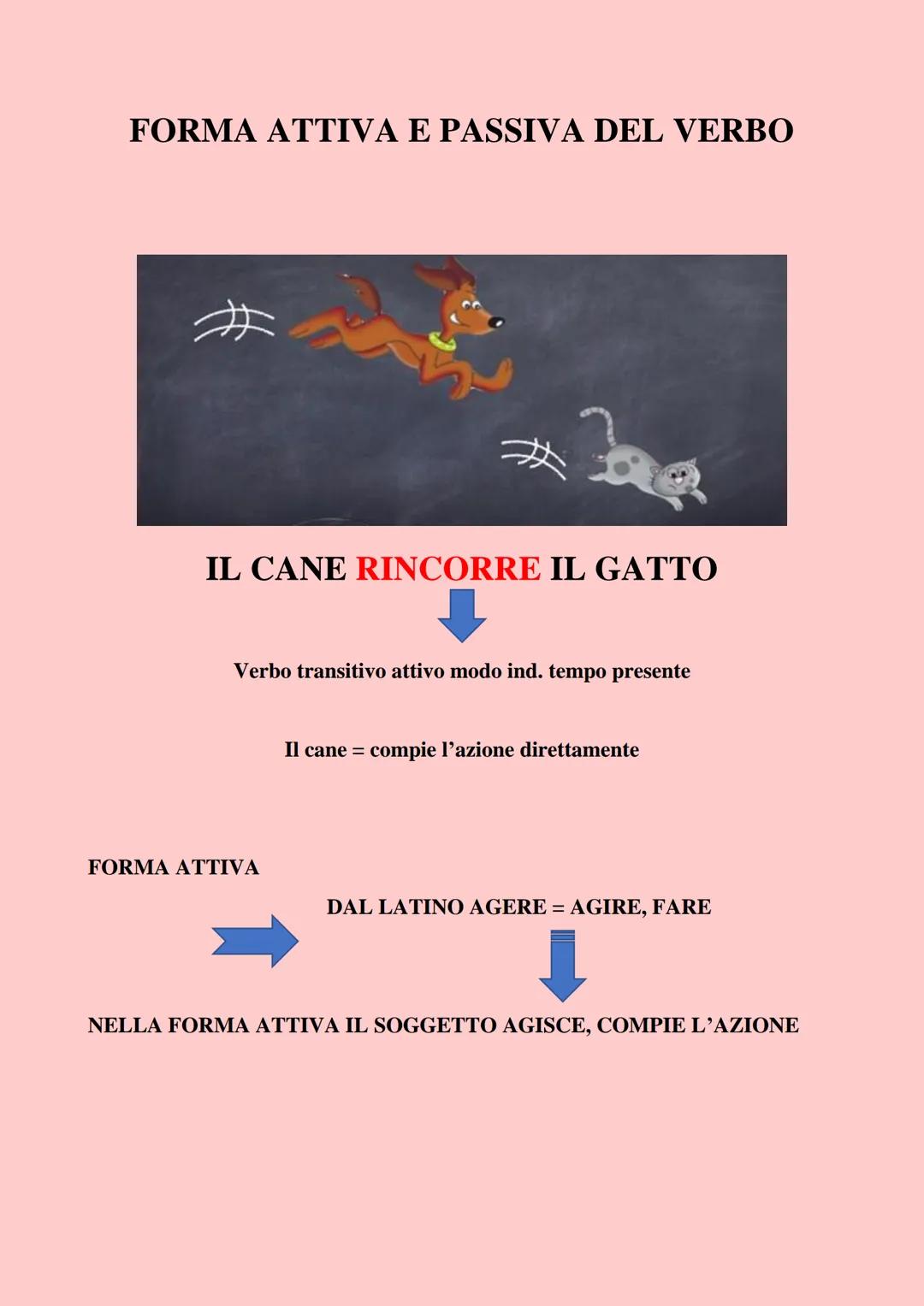 I VERBI POSSONO ESSERE
TRANSITIVI O INTRANSITIVI
verbi transitivi
l'azione "passa" direttamente dal soggetto all'oggetto
lat. "transire" = p