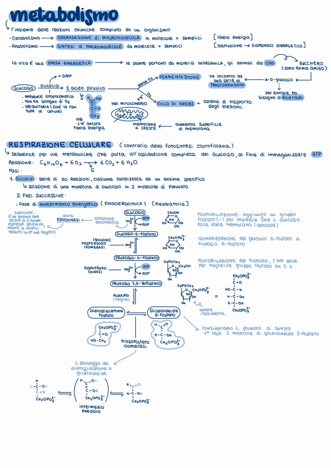 # metabolismo
l'insieme delle reazioni chimicne compiuto da uu organismo
• Carabolismo $\longrightarrow$ DEGRADA ZIONE DI MACROMOLecole in