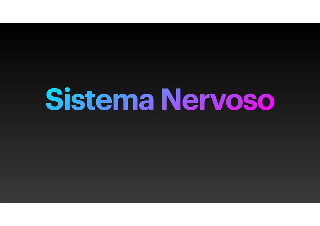 Sistema nervoso