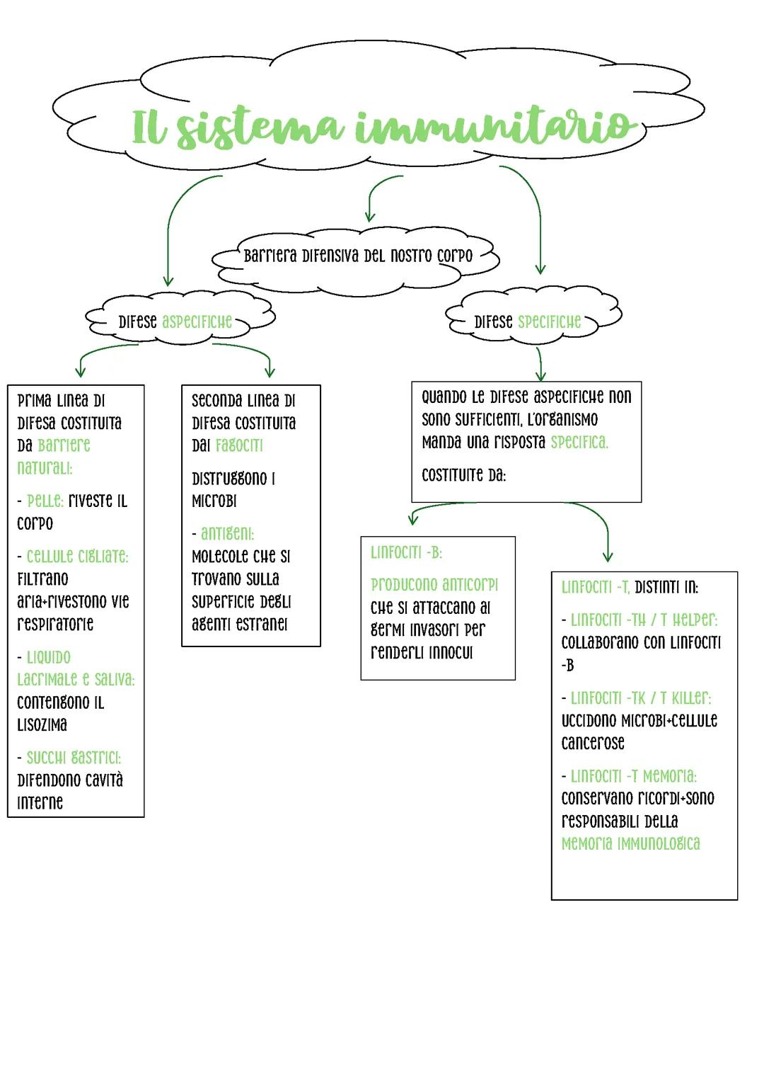 Il sistema immunitario