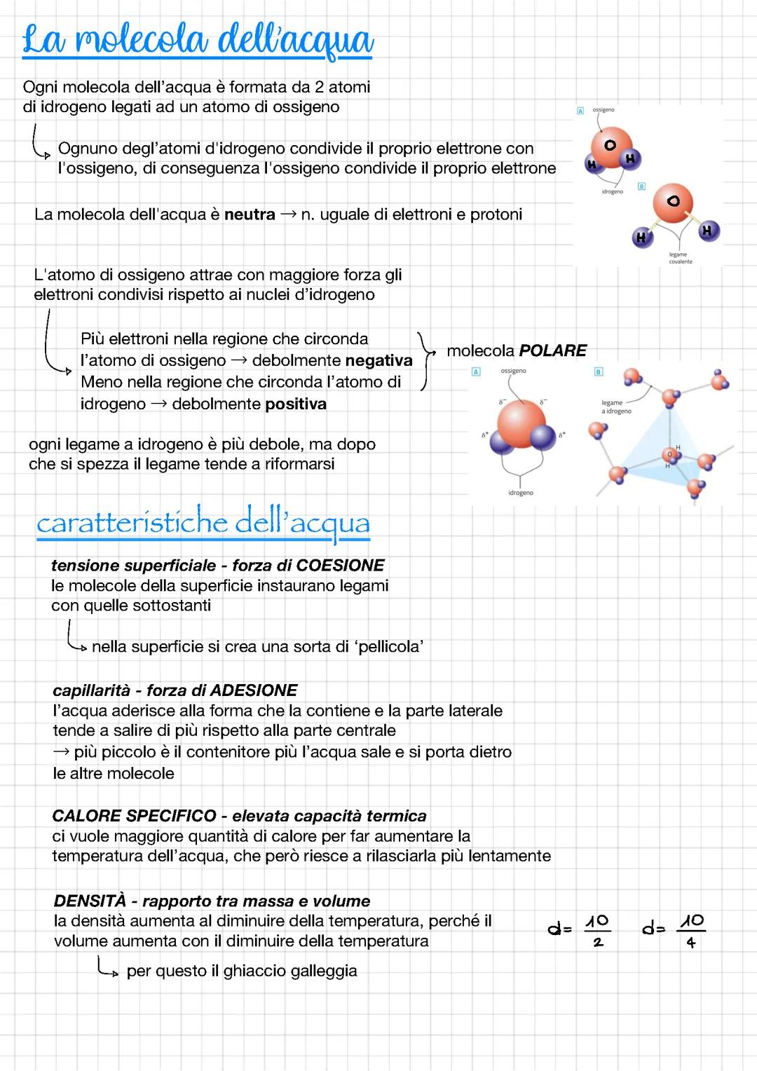 BIOMOLECOLE
