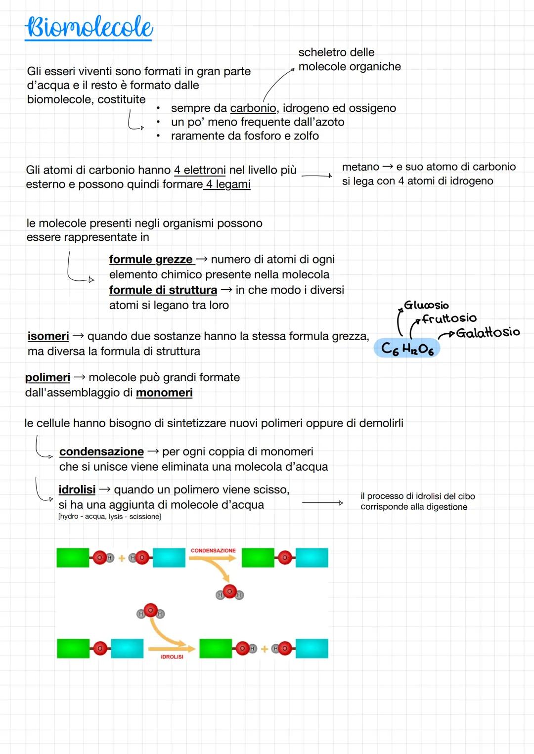 La molecola dell'acqua
Ogni molecola dell'acqua è formata da 2 atomi
di idrogeno legati ad un atomo di ossigeno
Ognuno degl'atomi d'idrogeno