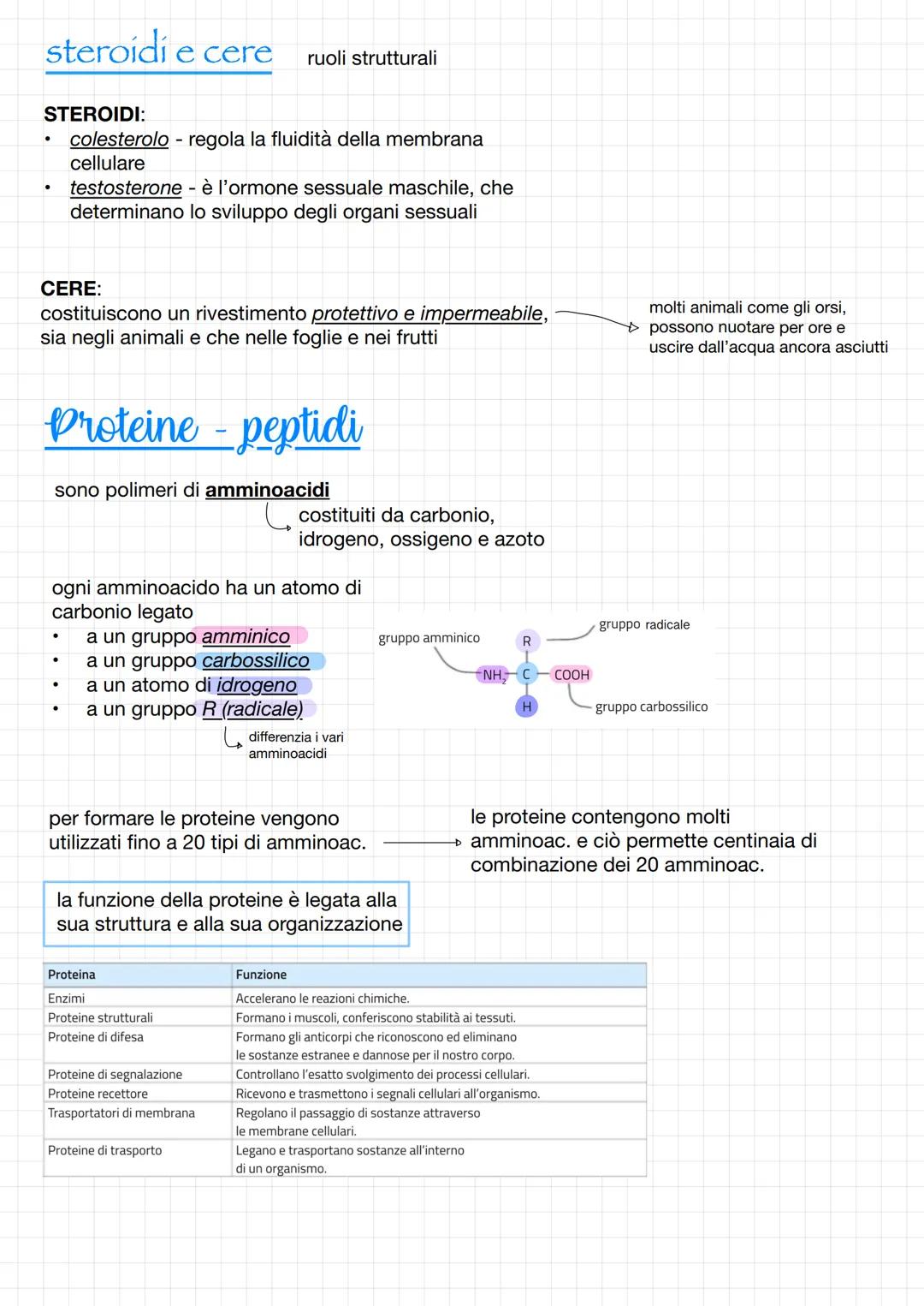 La molecola dell'acqua
Ogni molecola dell'acqua è formata da 2 atomi
di idrogeno legati ad un atomo di ossigeno
Ognuno degl'atomi d'idrogeno