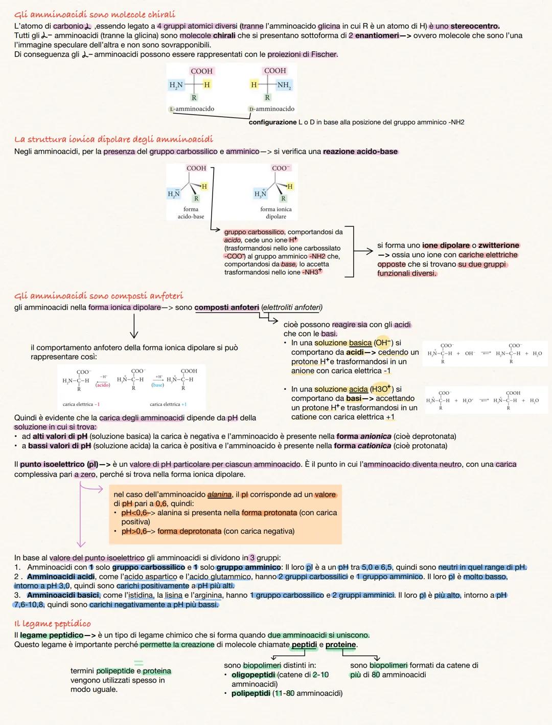 # AMMINOACIDI E PROTEINE
Gli amminoacidi sono i monineri delle proteine
Amminoacidi rappresentano i monomeri dei peptidi e delle proteine, p