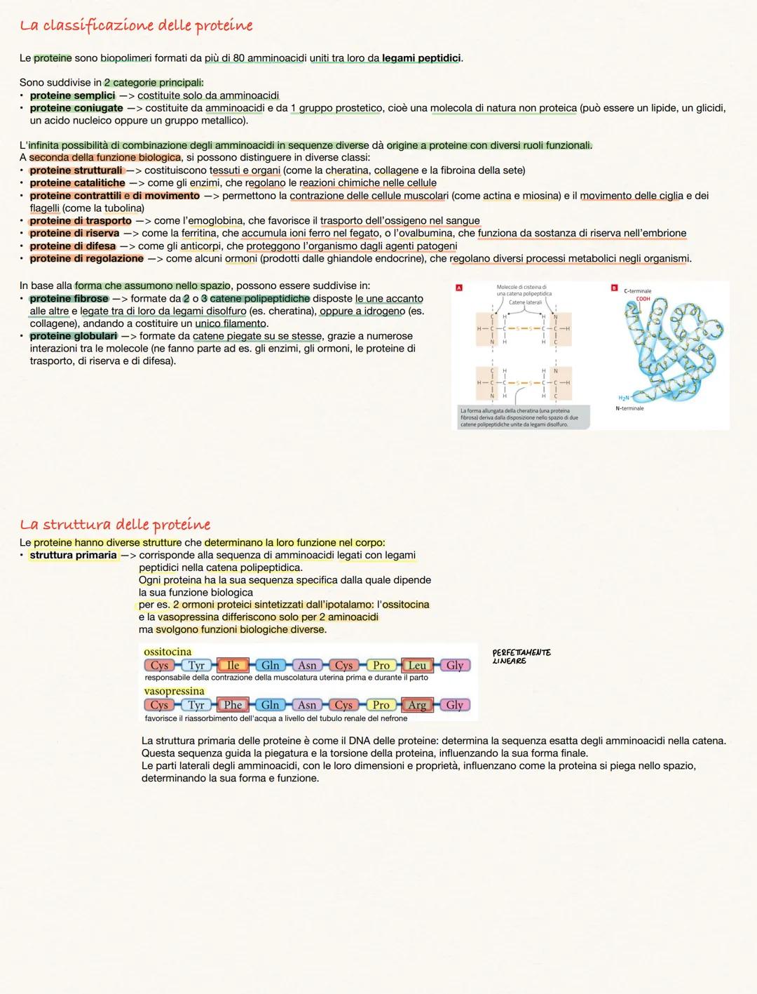 # AMMINOACIDI E PROTEINE
Gli amminoacidi sono i monineri delle proteine
Amminoacidi rappresentano i monomeri dei peptidi e delle proteine, p