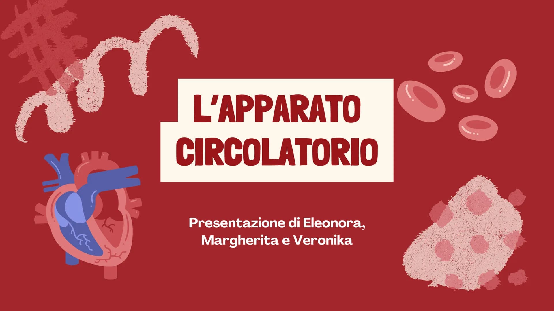 # L'APPARATO
# CIRCOLATORIO
Presentazione di Eleonora,
Margherita e Veronika # FUNZIONI E COMPONENTI
Tutte le cellule del nostro corpo dev