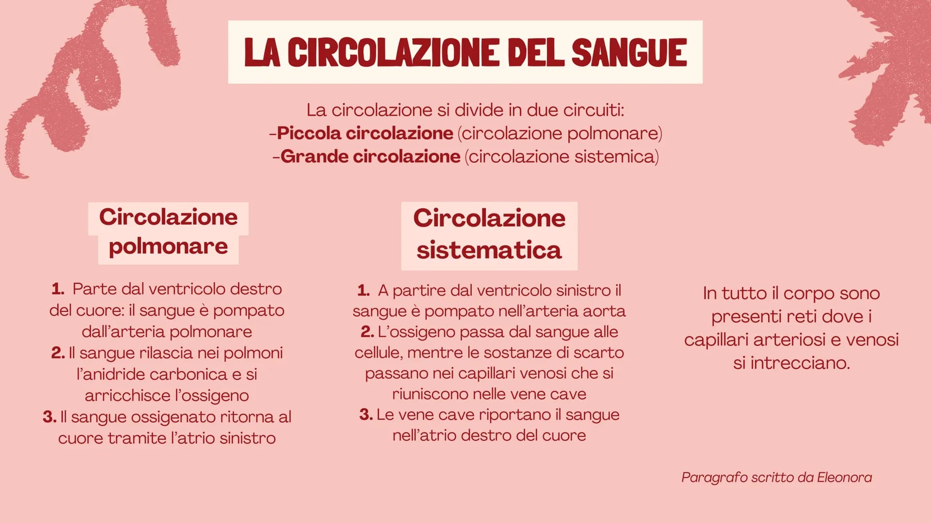 # L'APPARATO
# CIRCOLATORIO
Presentazione di Eleonora,
Margherita e Veronika # FUNZIONI E COMPONENTI
Tutte le cellule del nostro corpo dev