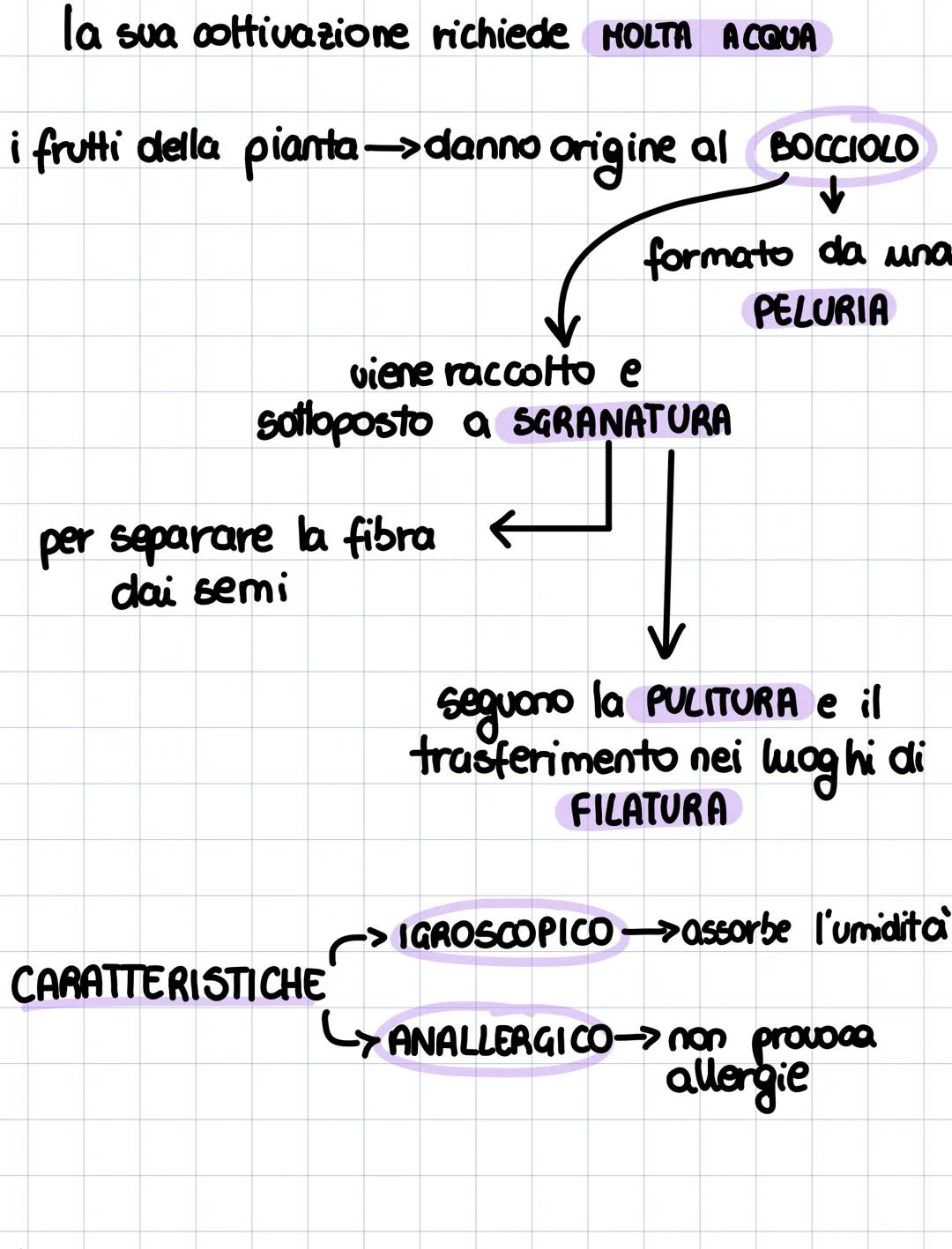 FIBRE TESSILI
- la coltivazione delle fibre naturali
richiede l'utilizzo
di ACQUA DOLCE
·la coltivazione di fibre sintetiche
L> è responsabi