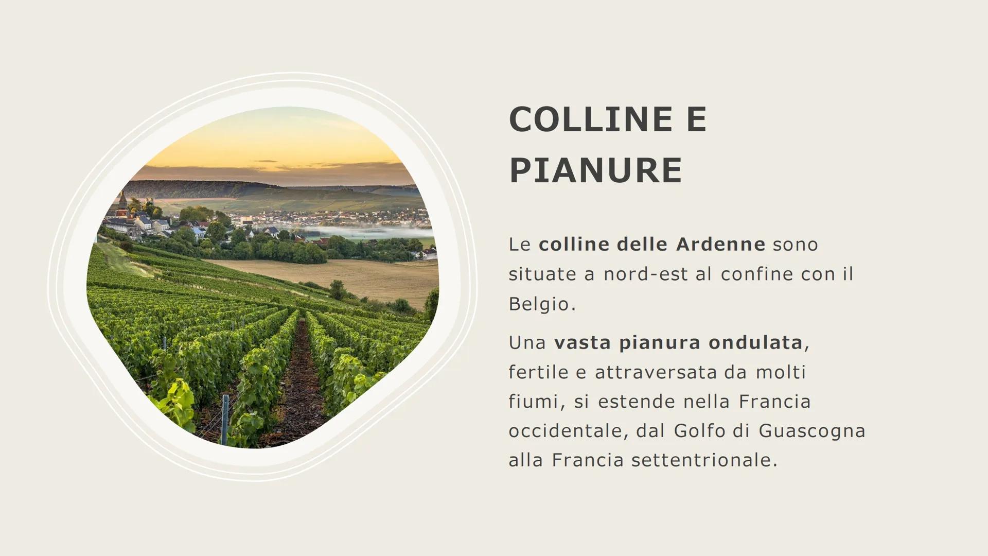 # LA FRANCIA
Aurora Santoru Regno Unito
Calais
Belgio
La Manica
Lilla
Lens
ppa.com
Abbeville Alta Francia
Chachourg
Δ
Brest Morlaix
Quimper