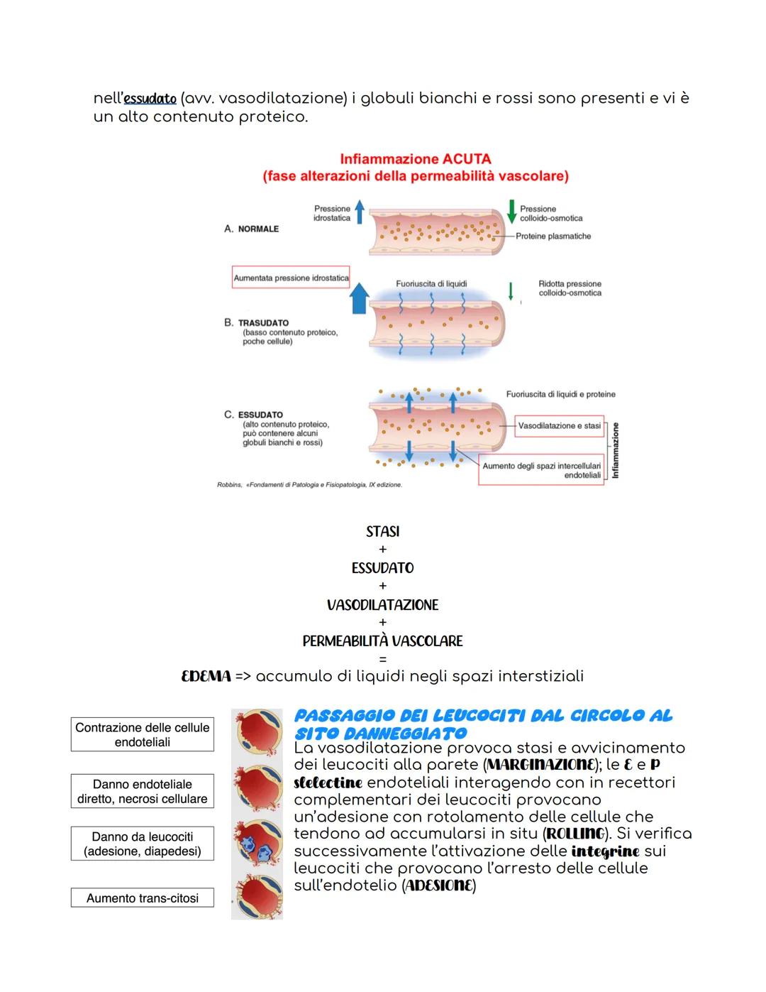 PATOLOGIA GENERALE APPUNTI
PATOLOGIA
studia la malattia dal
punto i vista
funzionale e strutturale
Riferendosi alla
CELLULA
cambiamento dell