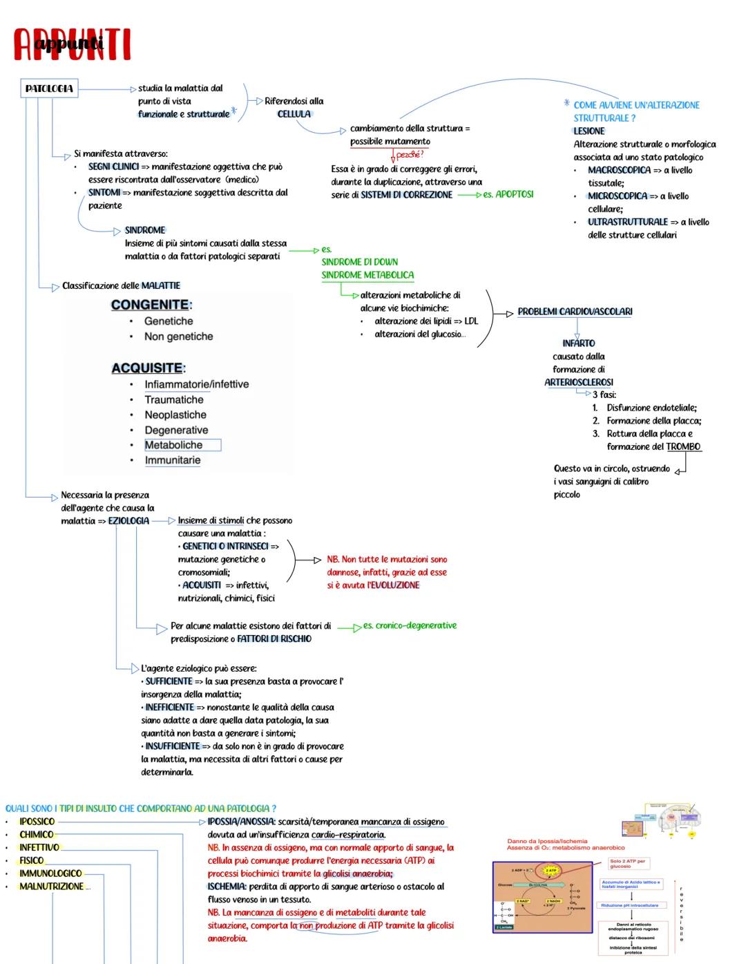 PATOLOGIA GENERALE APPUNTI
PATOLOGIA
studia la malattia dal
punto i vista
funzionale e strutturale
Riferendosi alla
CELLULA
cambiamento dell