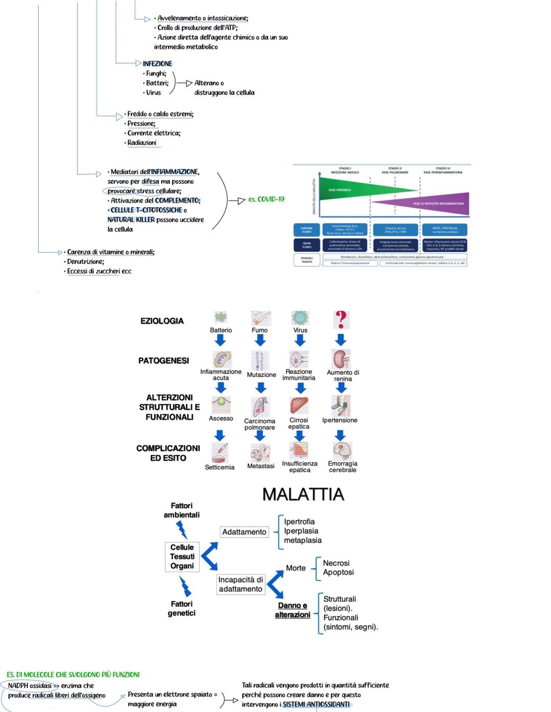 PATOLOGIA GENERALE APPUNTI
PATOLOGIA
studia la malattia dal
punto i vista
funzionale e strutturale
Riferendosi alla
CELLULA
cambiamento dell