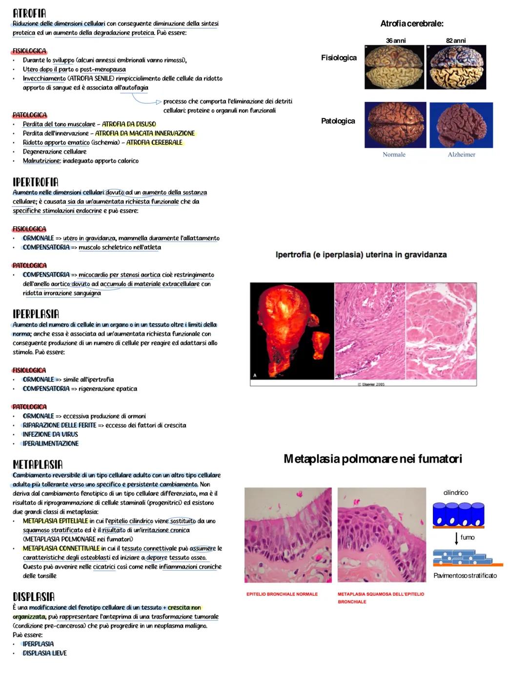 PATOLOGIA GENERALE APPUNTI
PATOLOGIA
studia la malattia dal
punto i vista
funzionale e strutturale
Riferendosi alla
CELLULA
cambiamento dell