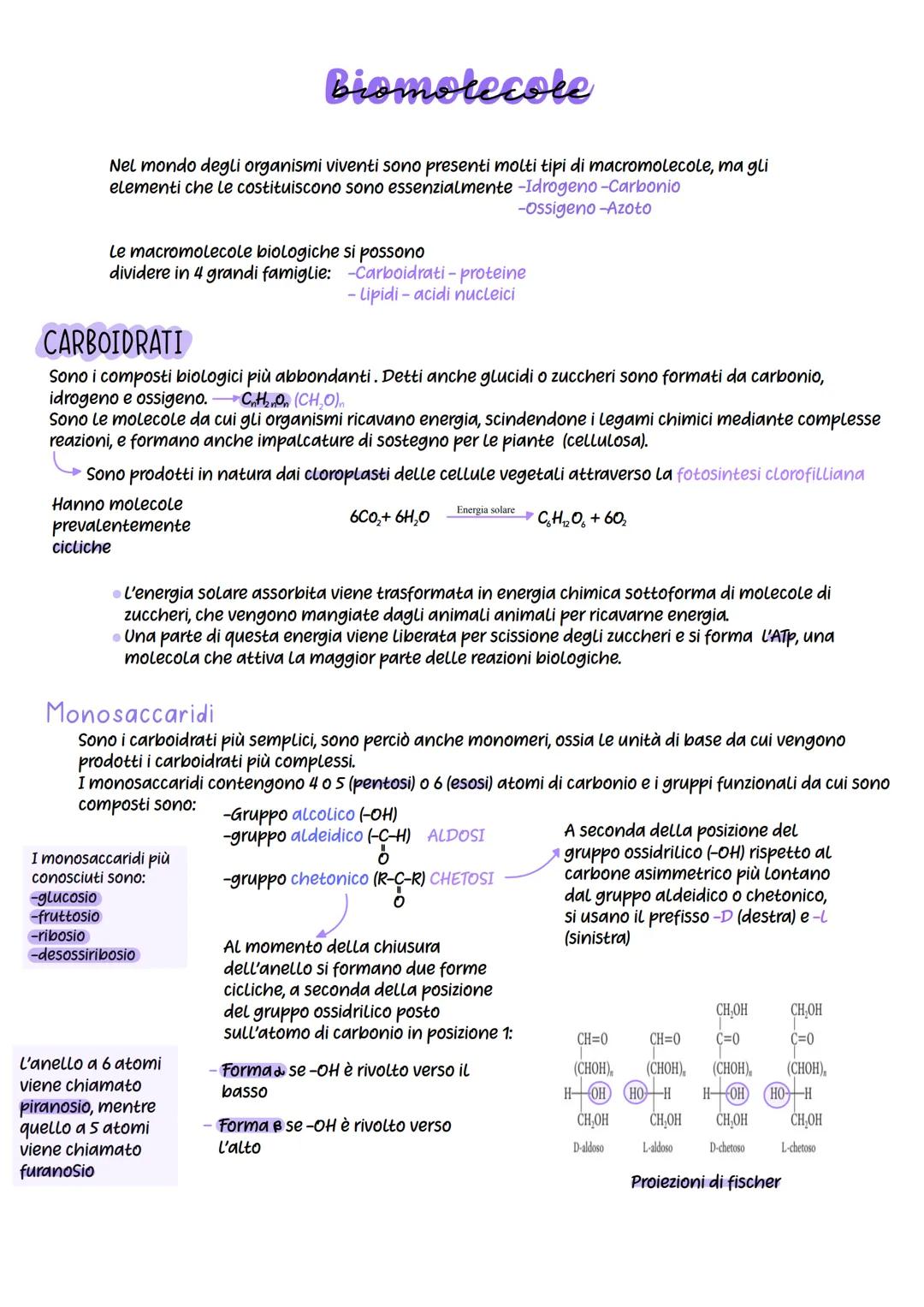 # Biomolecole
Nel mondo degli organismi viventi sono presenti molti tipi di macromolecole, ma gli
elementi che le costituiscono sono essenz
