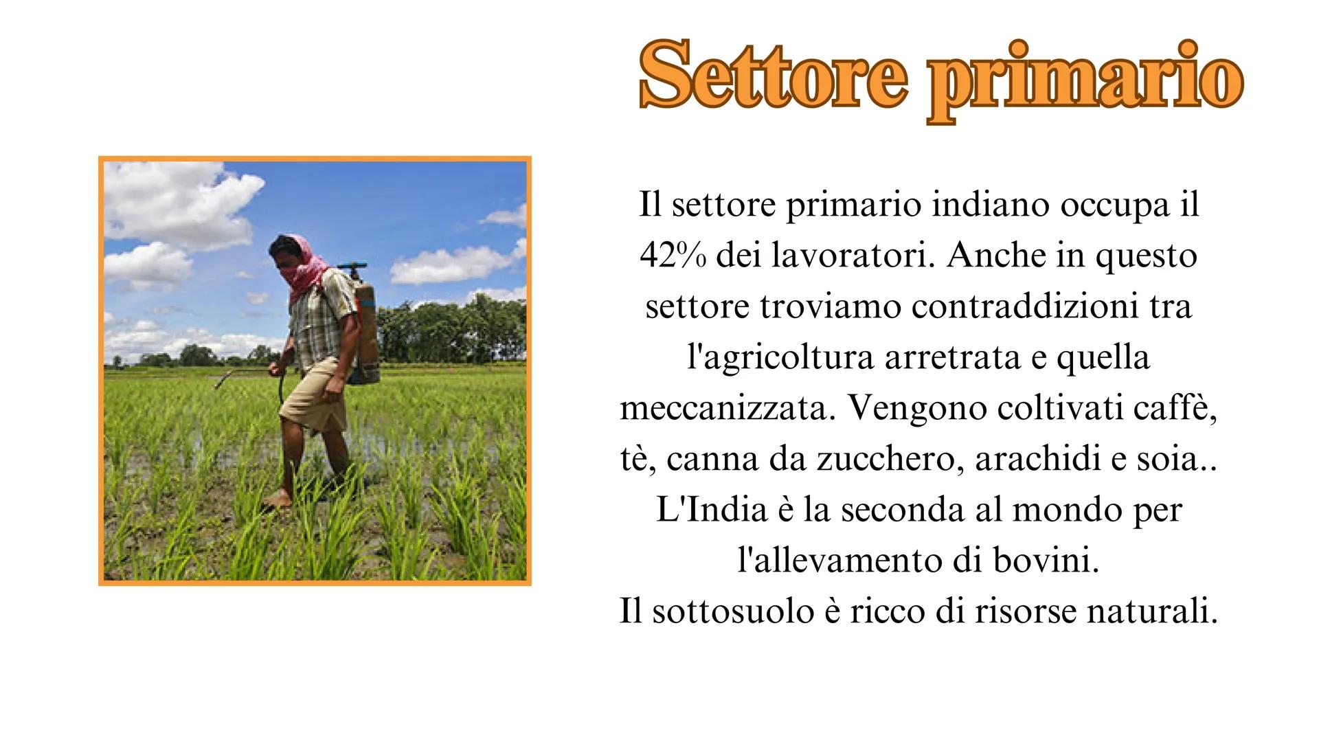 # India # Profilo fisico
• Superficie: 3.287.469 km²
• Confini:Pakistan a ovest, Cina, Nepal e
Bhutan a nord-est, Bangladesh e Myanmar a
es