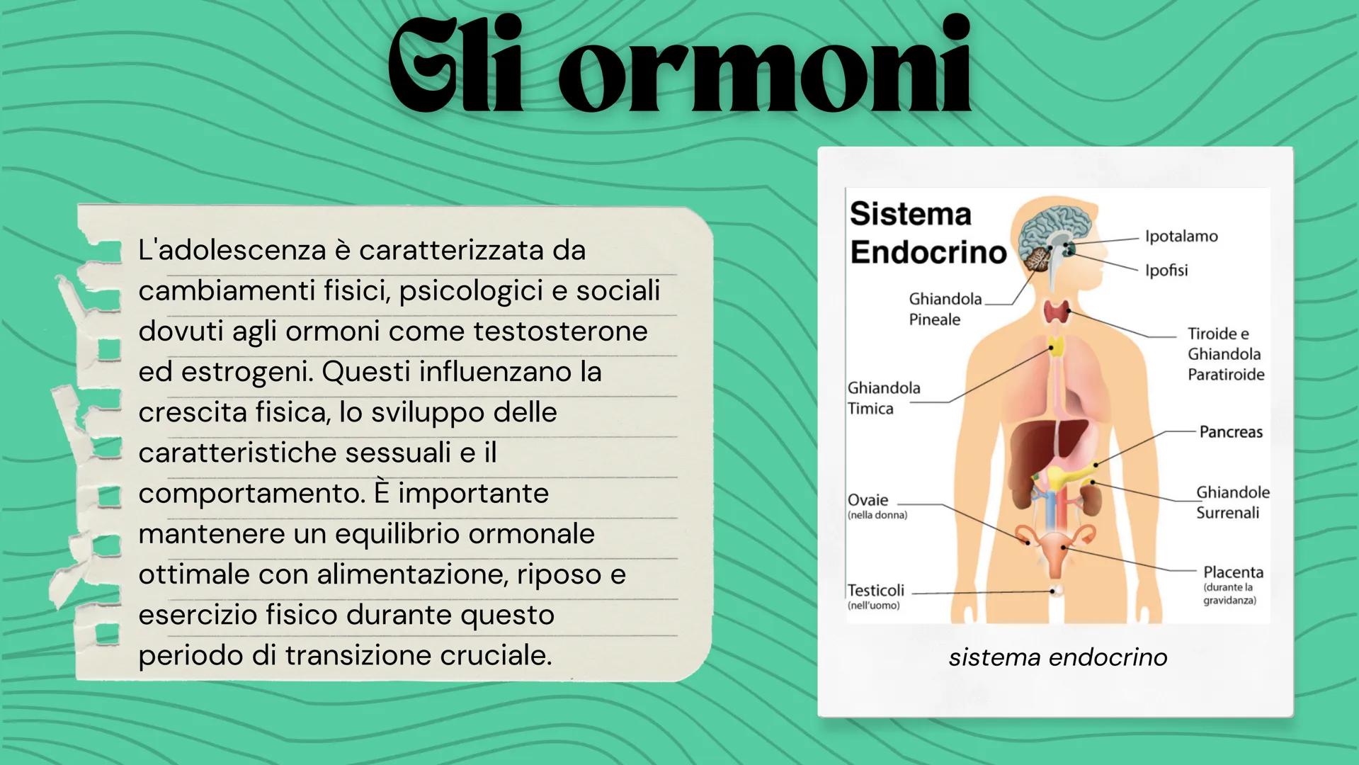 adolescenza
Sofia Cerruto, 3B Scienze:
gli ormoni
Educazione Civica:
Bullismo e
Cyberbullismo
Italiano:
De Amicis, Cuore
Musica:
i bambini p