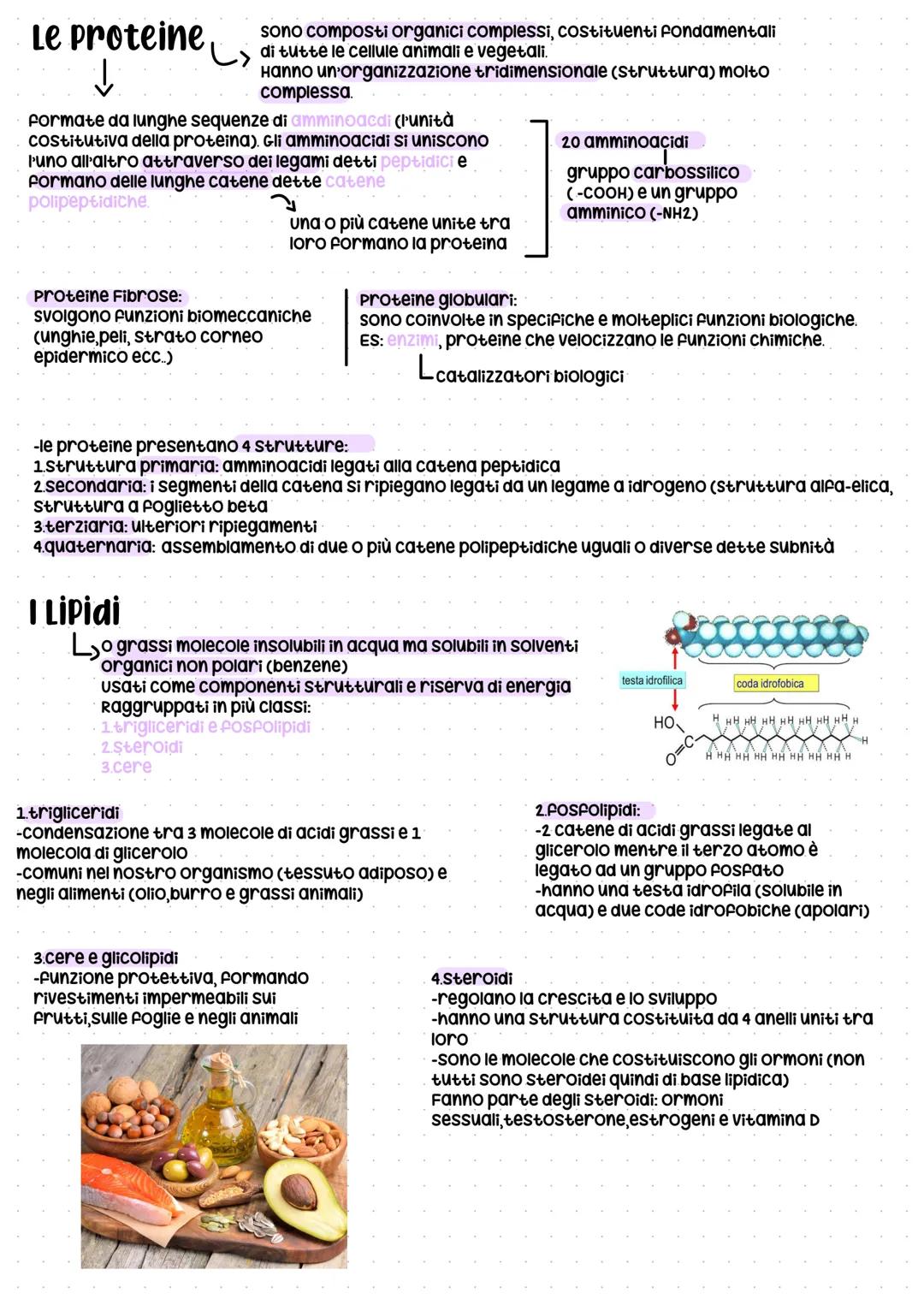# LE BIOMOLECOLE -) composti che
costituiscono gli
L
organismi viventi
Si dividono in 4 classi principali:
1. 1 carboidrati - Detti anche