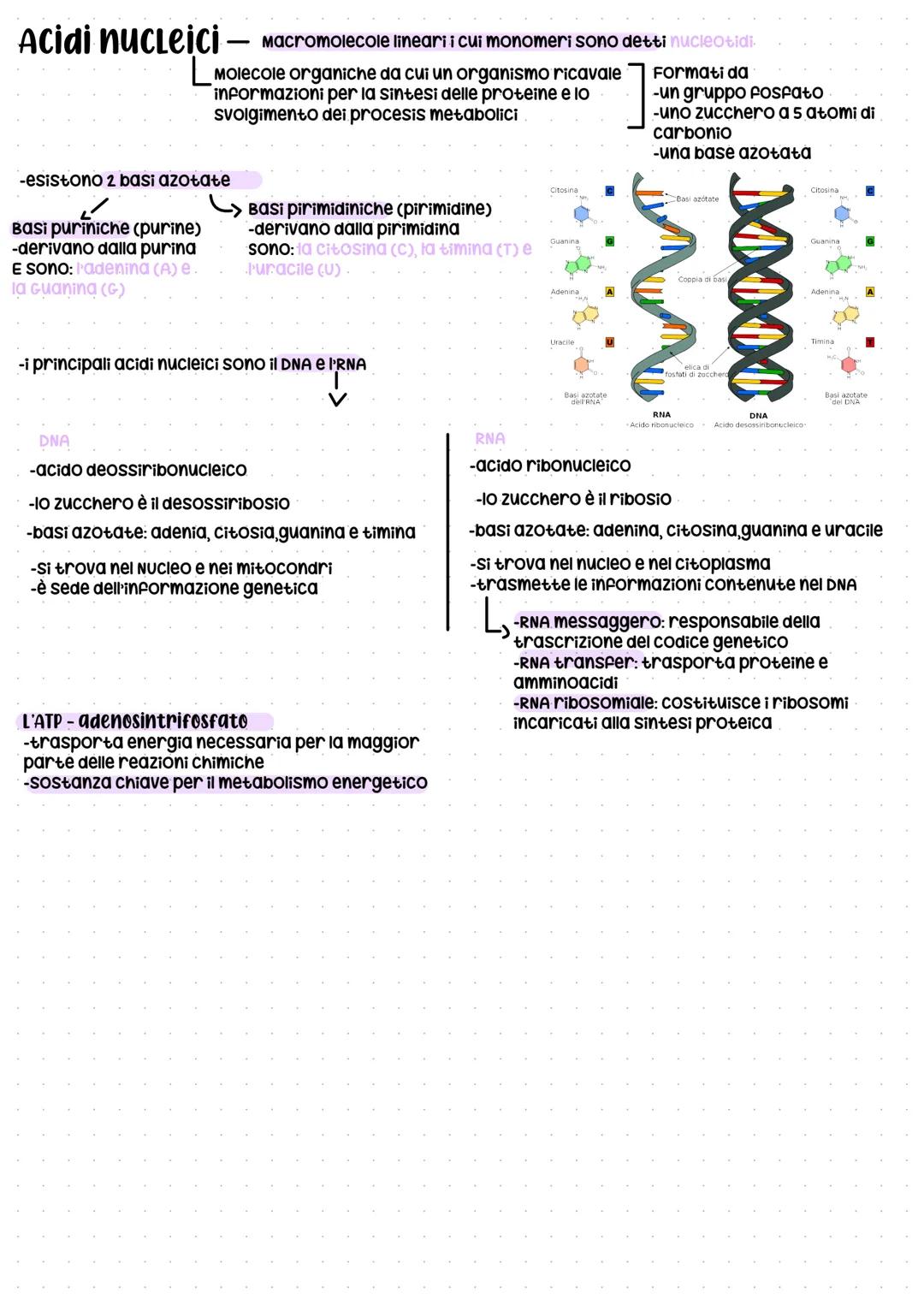 # LE BIOMOLECOLE -) composti che
costituiscono gli
L
organismi viventi
Si dividono in 4 classi principali:
1. 1 carboidrati - Detti anche