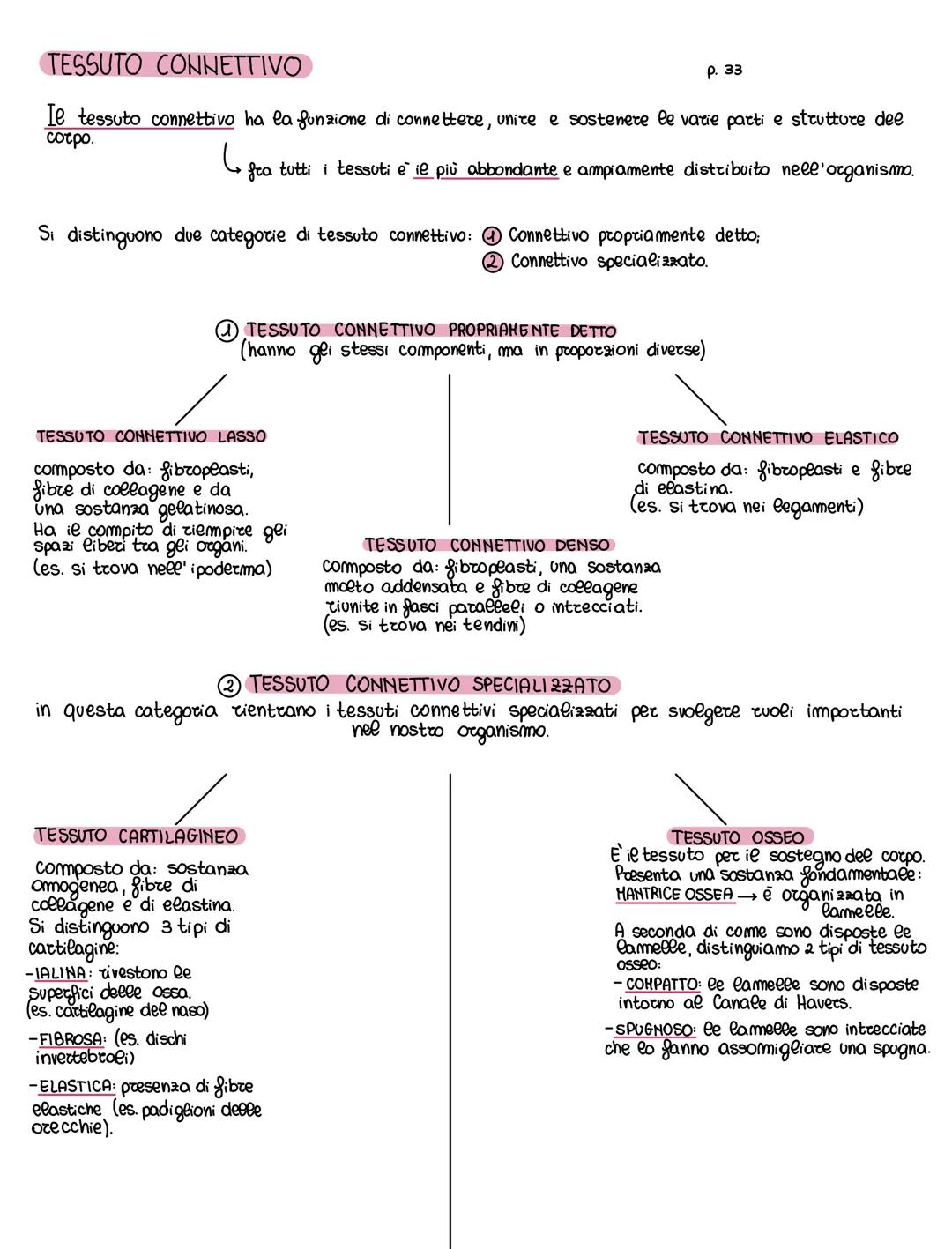 # TESSUTO CONNETTIVO
ρ. 33
Il tessuto connettivo ha la funzione di connettere, unire e sostenere le varie parti e strutture del
corpo.
C