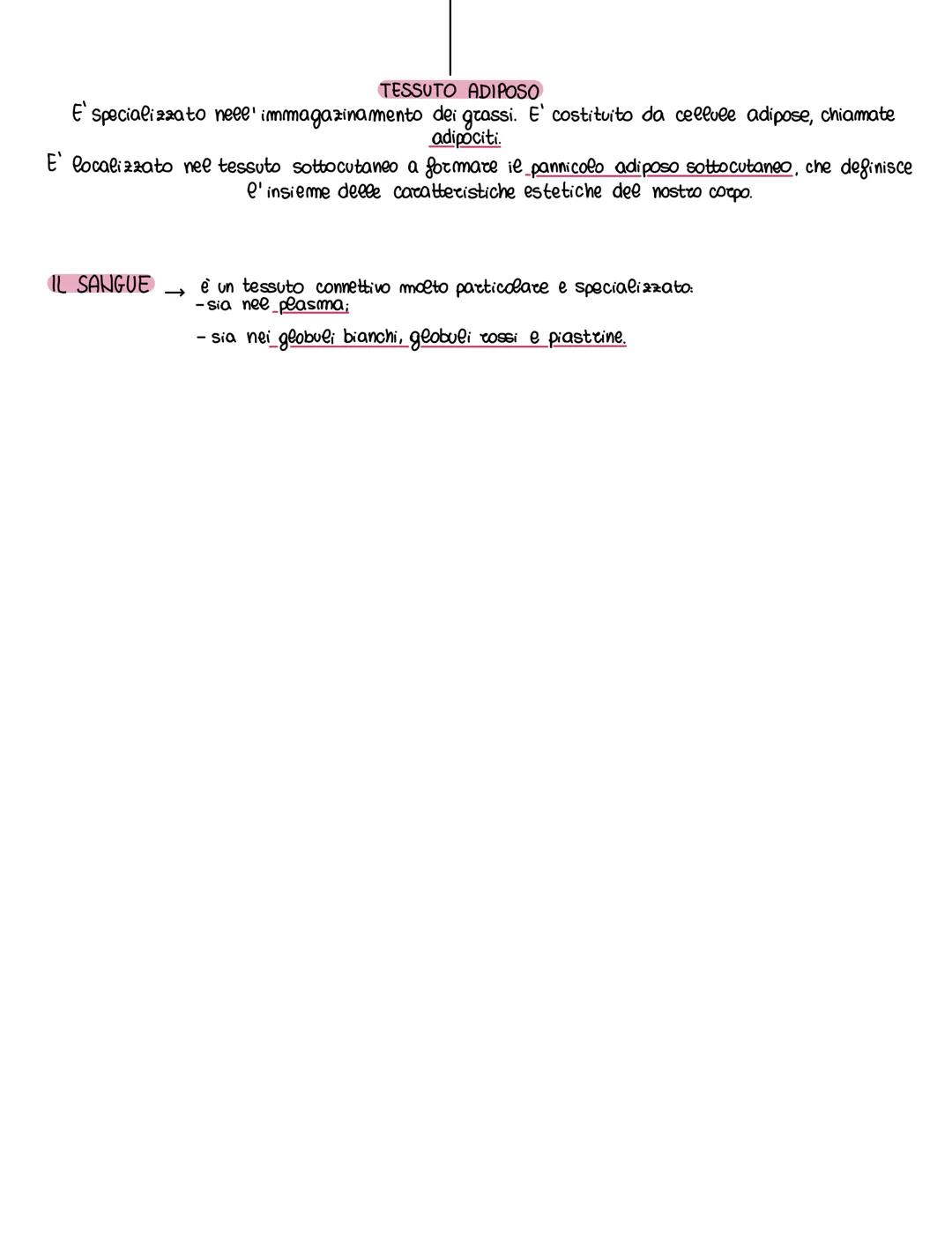 # TESSUTO CONNETTIVO
ρ. 33
Il tessuto connettivo ha la funzione di connettere, unire e sostenere le varie parti e strutture del
corpo.
C