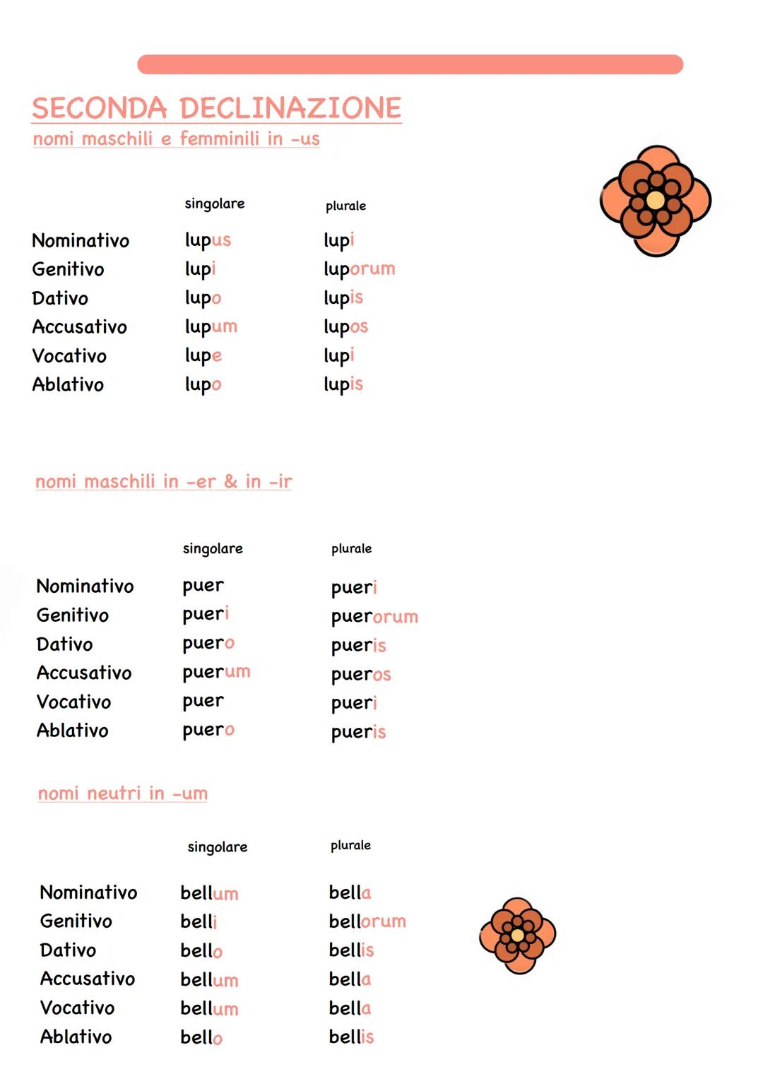SECONDA DECLINAZIONE
nomi maschili e femminili in -us
singolare
plurale
Nominativo
lupus
lupi
Genitivo
lupi
luporum
Dativo
lupo
lupis
Accusa
