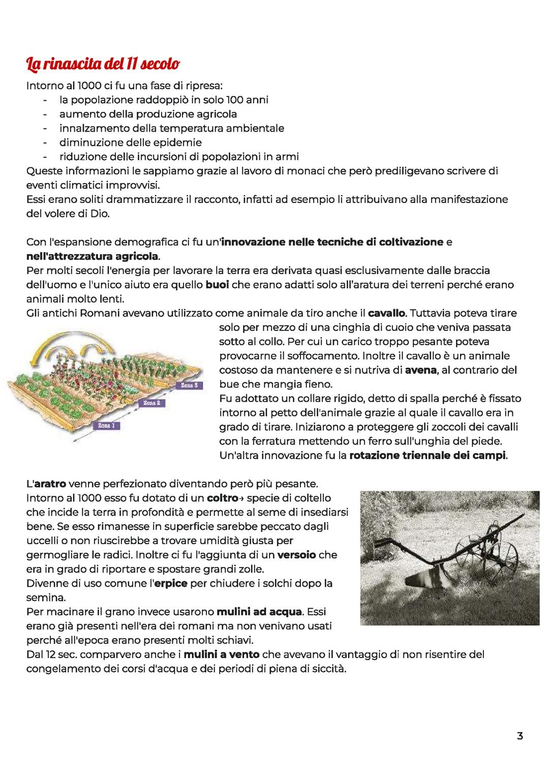 La rinascita dell'XI secolo