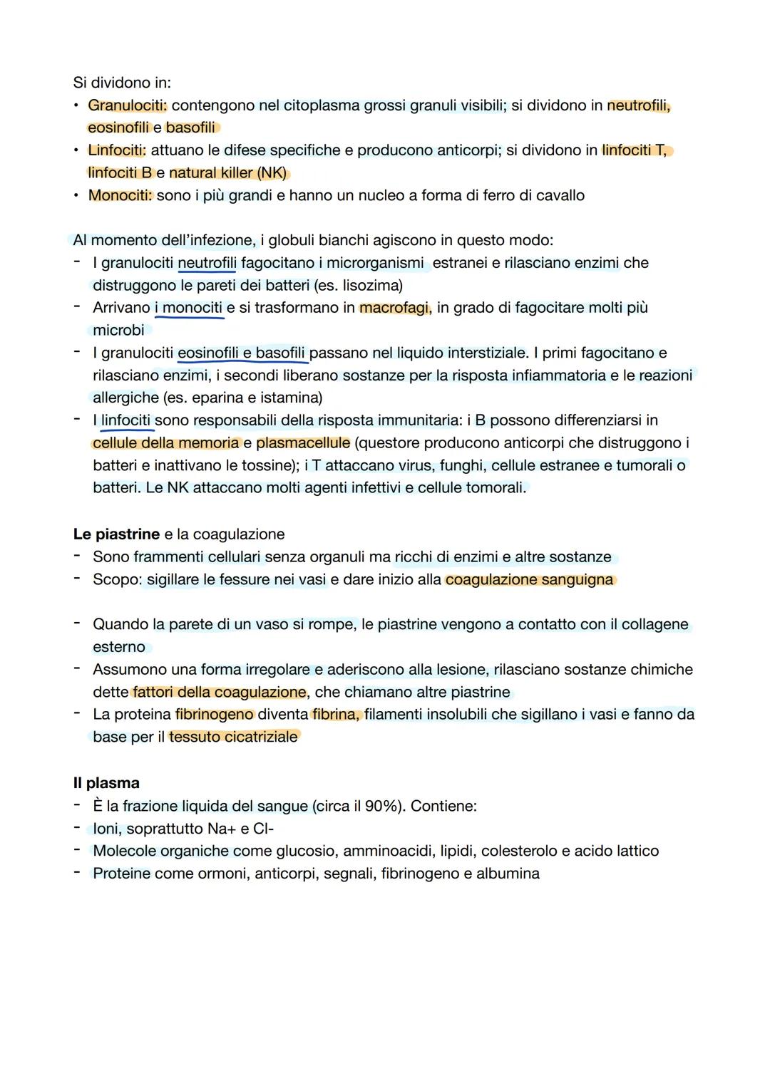 # Capitolo 2: La circolazione sanguigna
L'apparato cardiovascolare
Apparato cardiovascolare o circolatorio trasporta in tutto il corpo oss