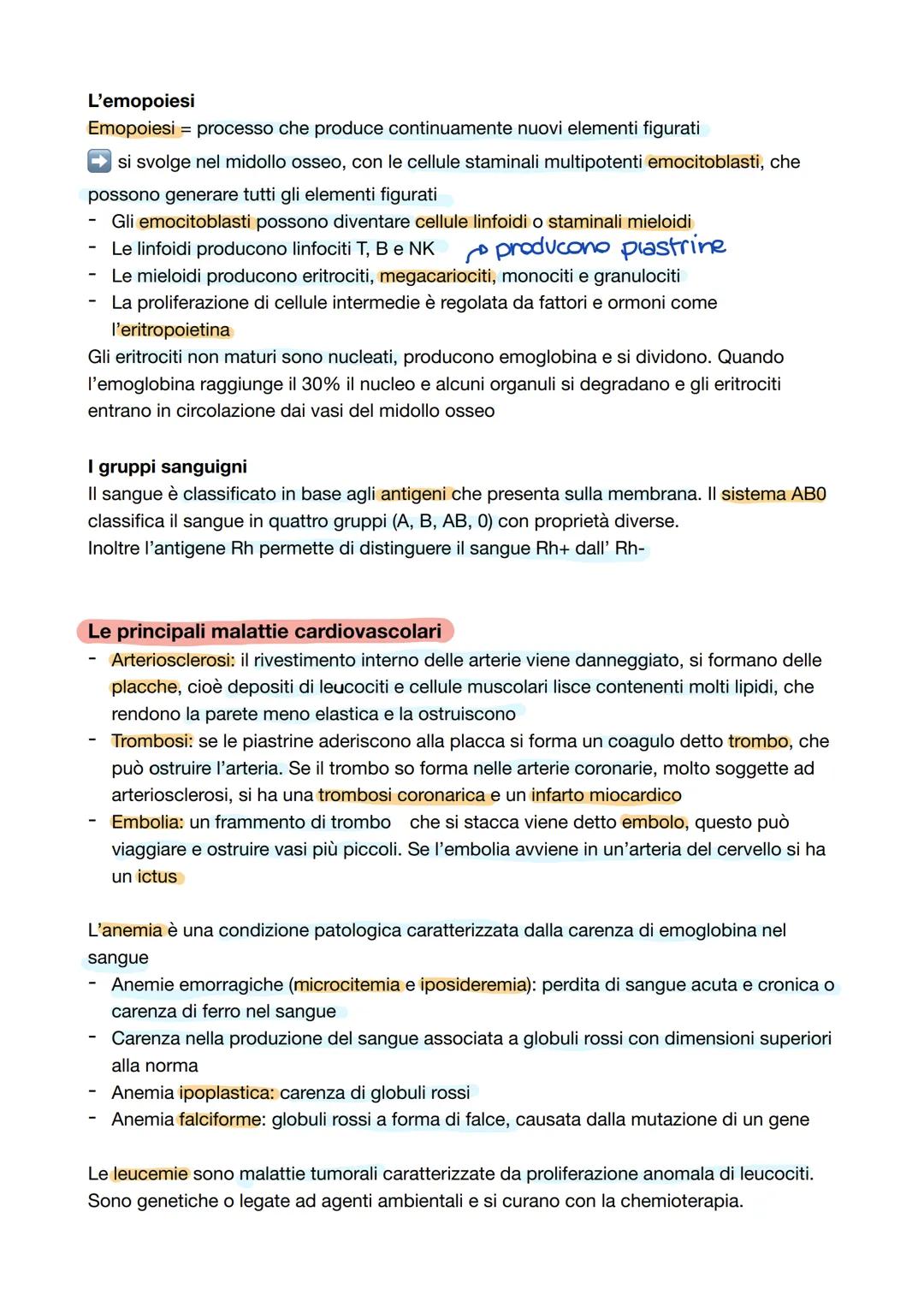 # Capitolo 2: La circolazione sanguigna
L'apparato cardiovascolare
Apparato cardiovascolare o circolatorio trasporta in tutto il corpo oss