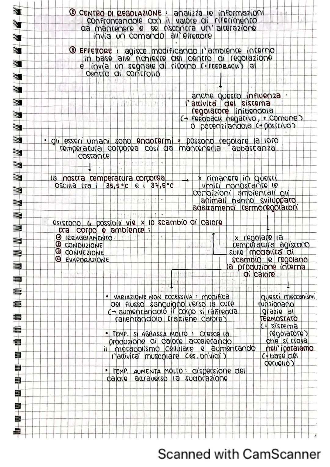 architettura del
corpo umano
1. tessuti del corpo umano
il corpo umano deriva dallo sviluppo di una sola cellula
C= zigote)
Questa poi si di